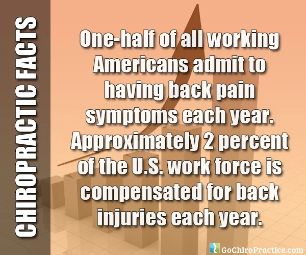 Facts-About-Chiropractic-Care-12.jpg