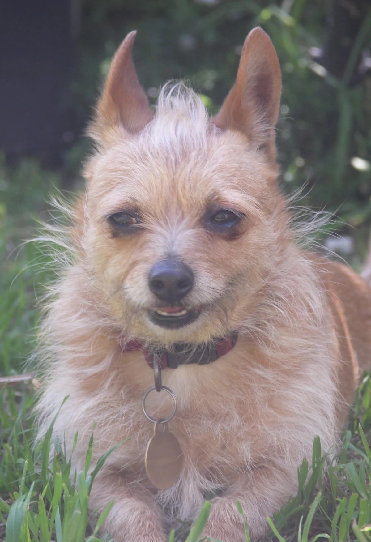 Quila Shares a Joke