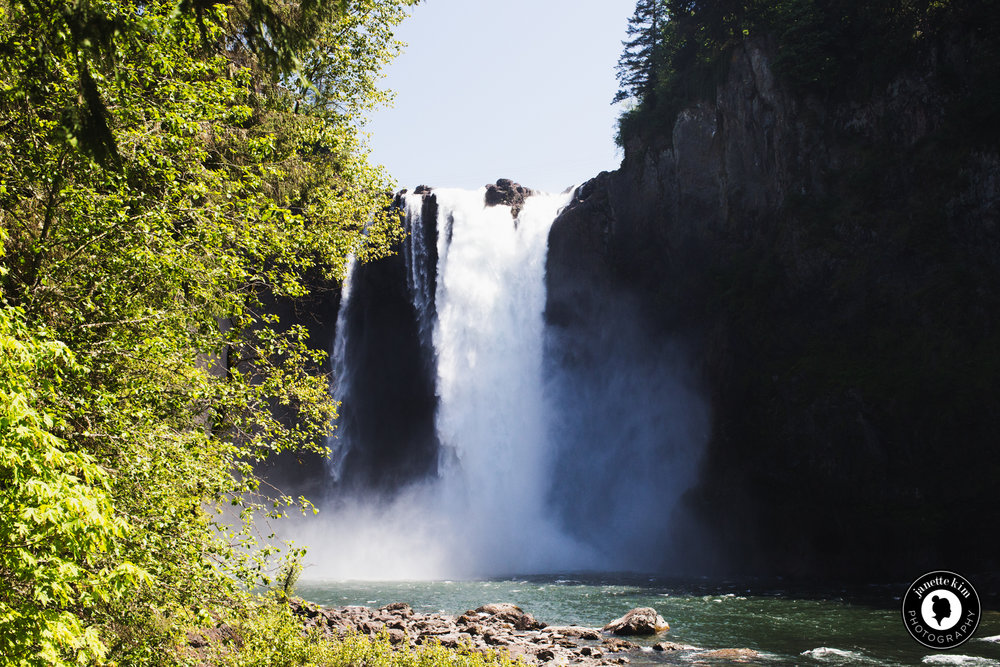 2016-04-30_Janette and Andrew_PNW-147.jpg