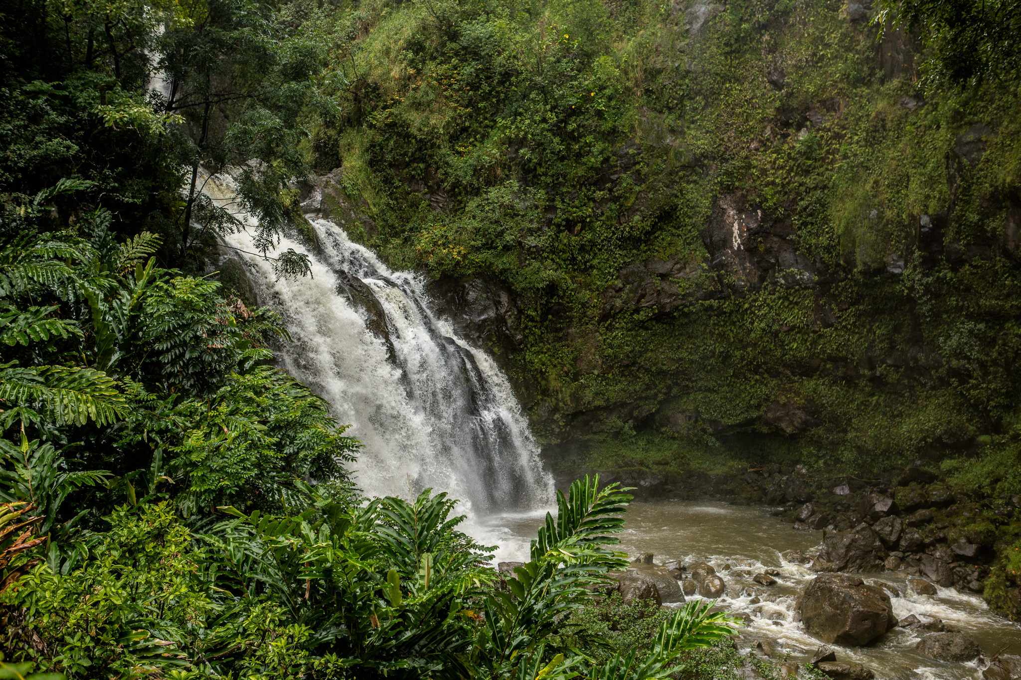 2016-09-25 Hawaii Honeymoon-144.jpg