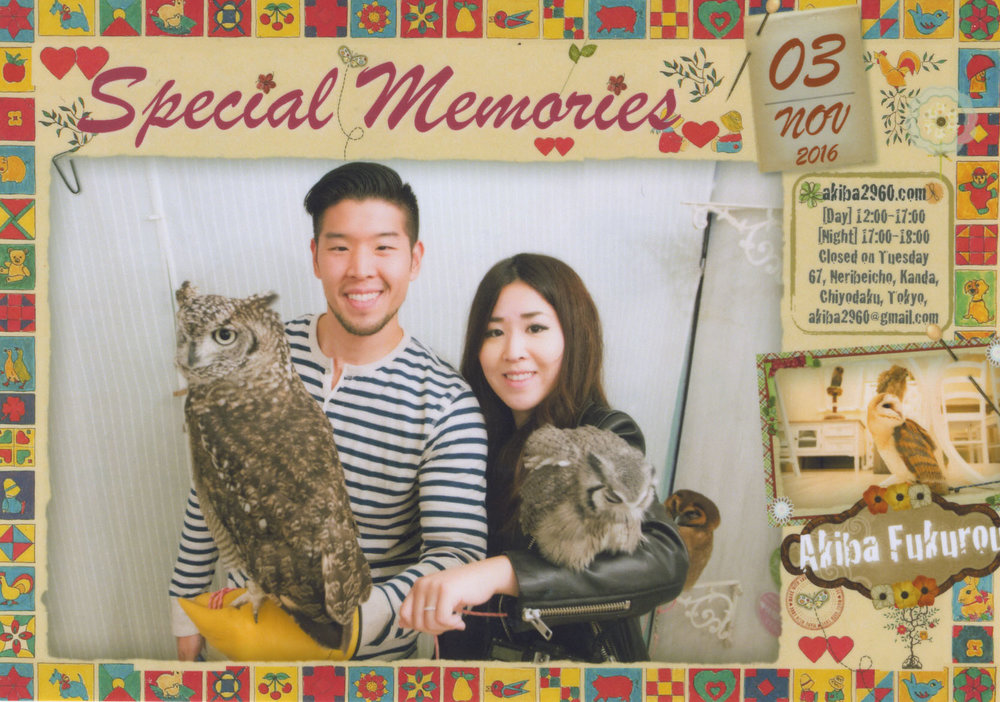 Japan_Owl Cafe.jpg