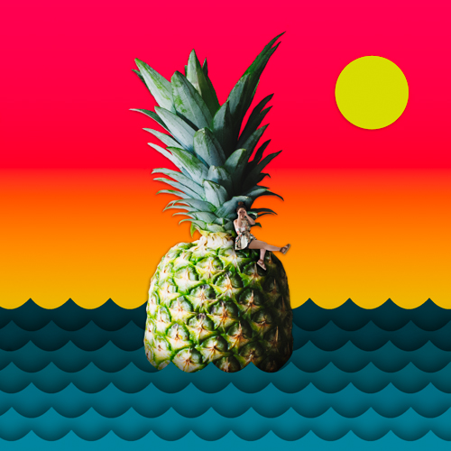 Exploring the ocean on this tropical island 