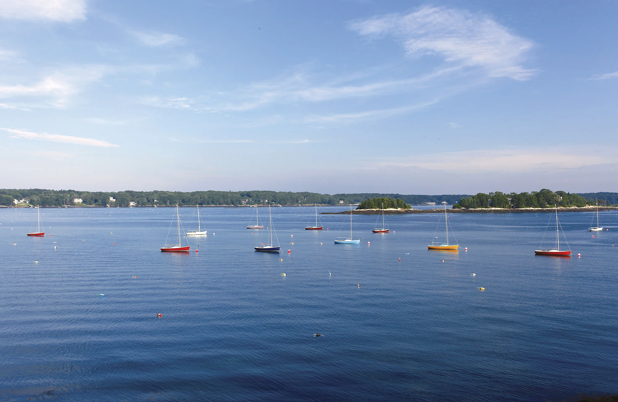 July: Linekin Bay