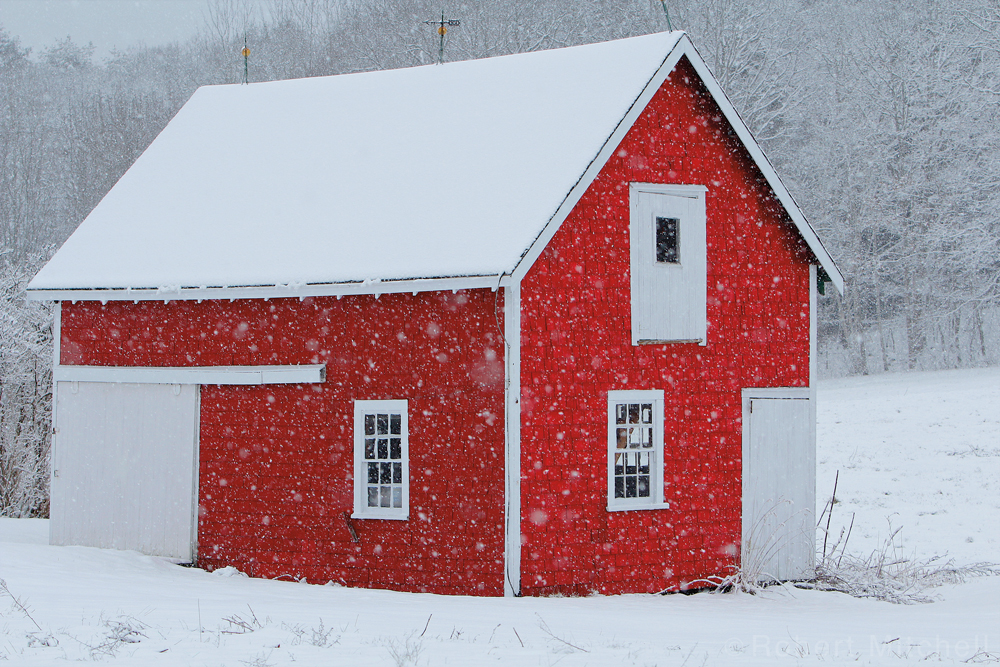 Barn Flurries