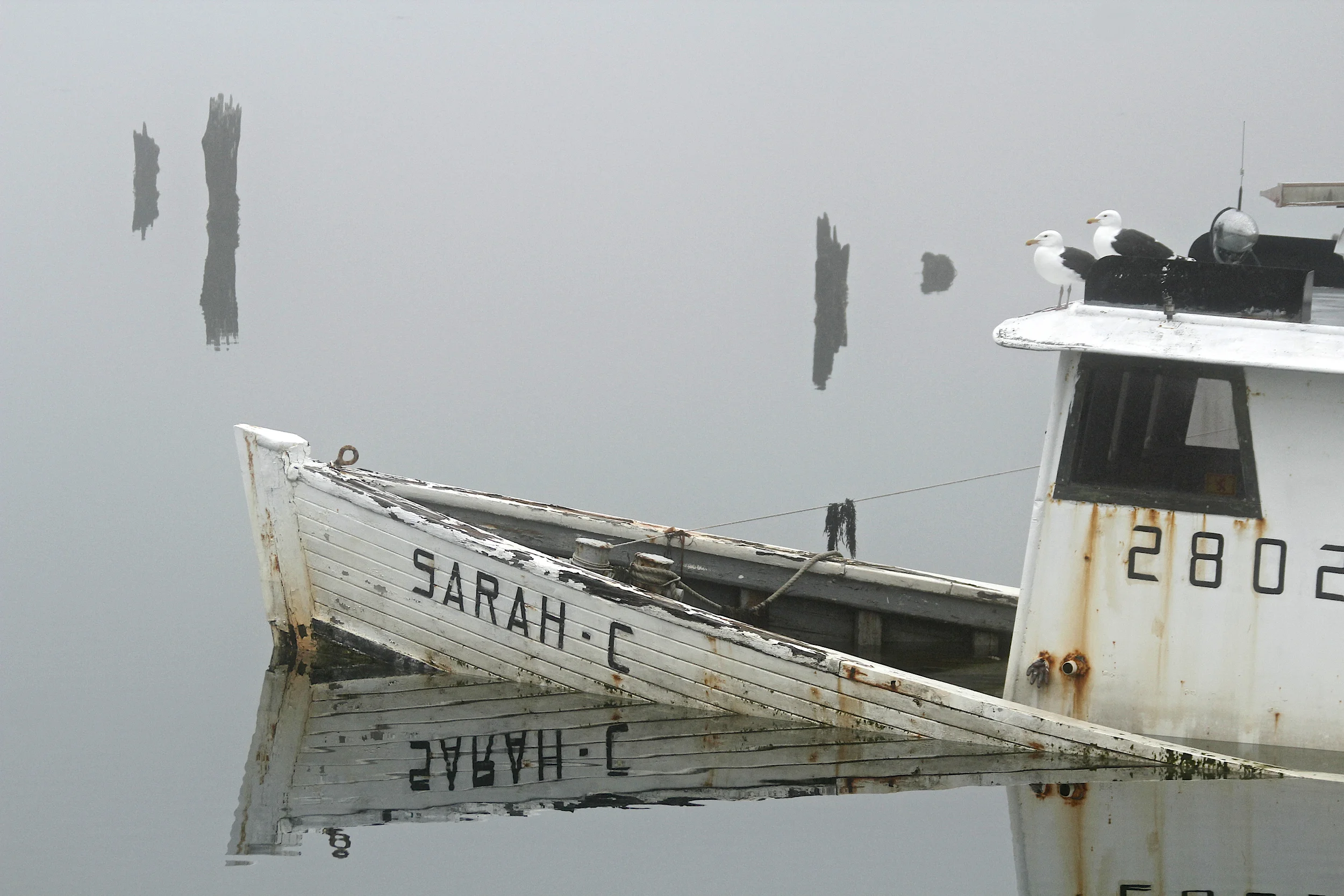 April: Back River, Boothbay