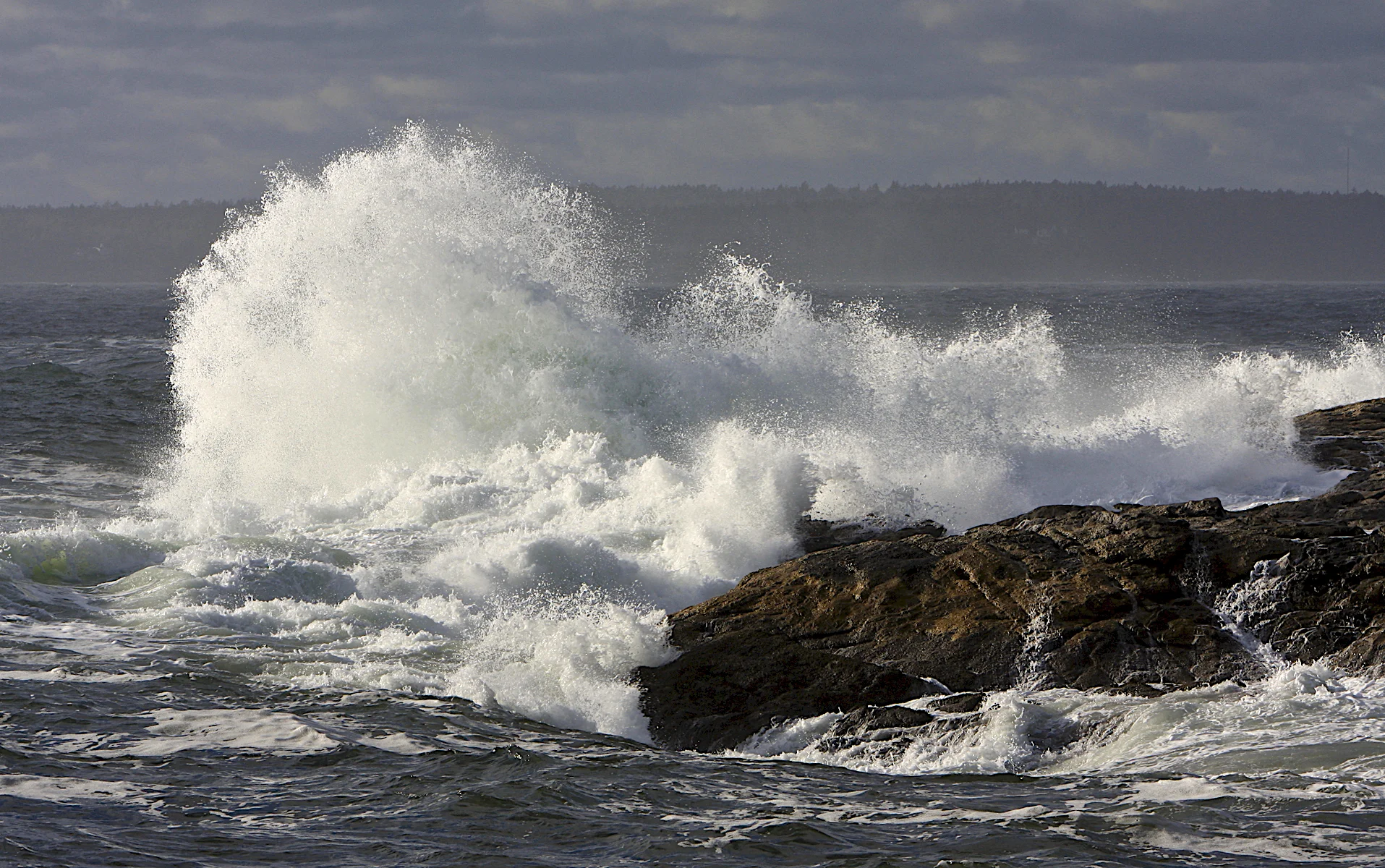 March: Maine