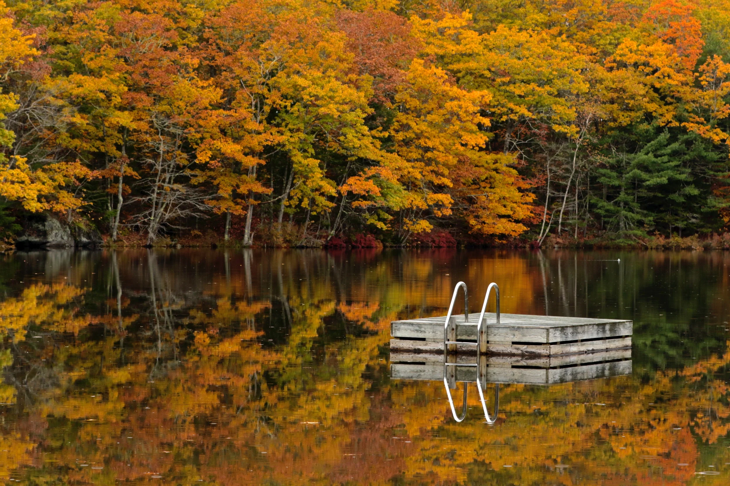 November: Knickerbocker Lake