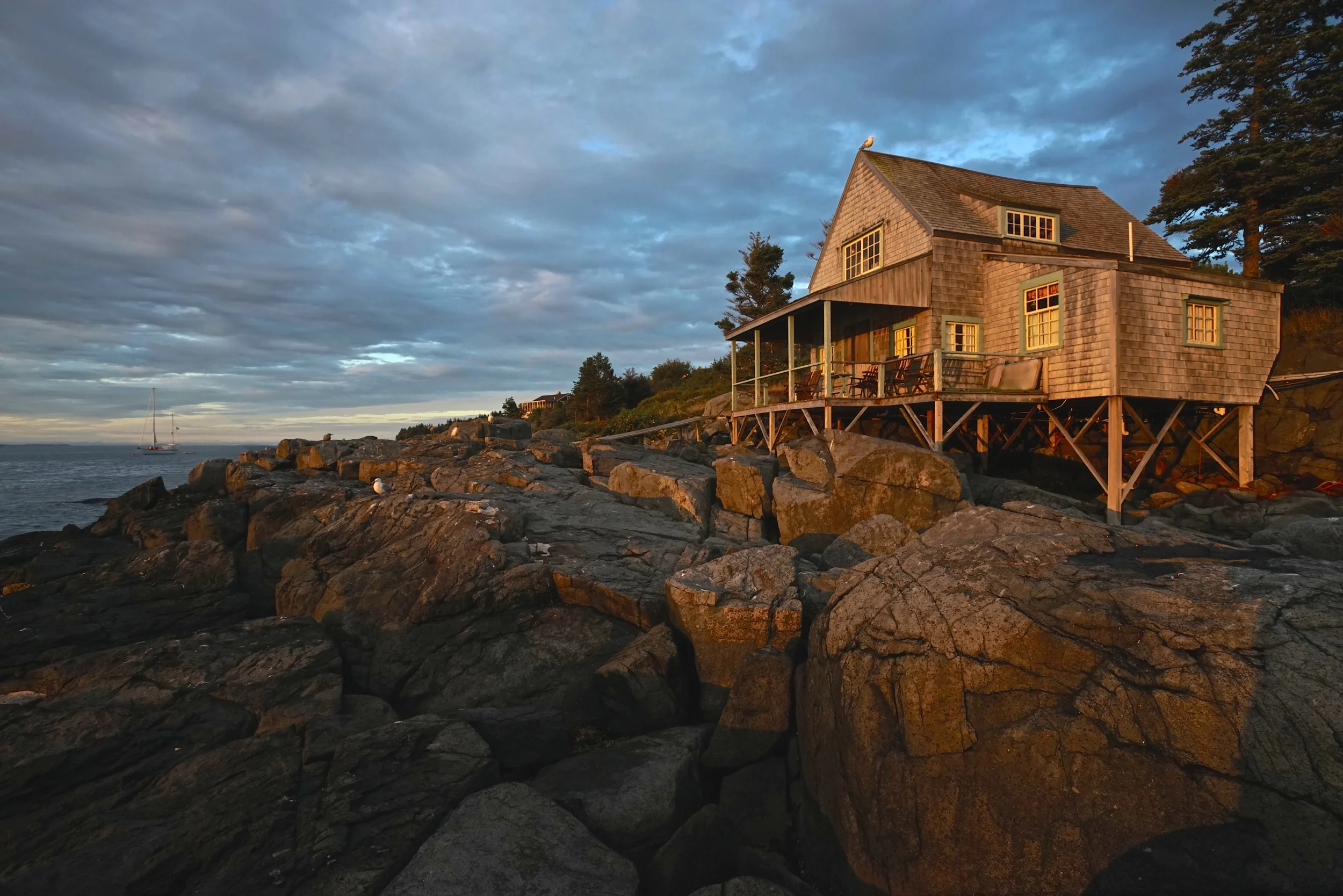 07-monhegan island:july.jpeg