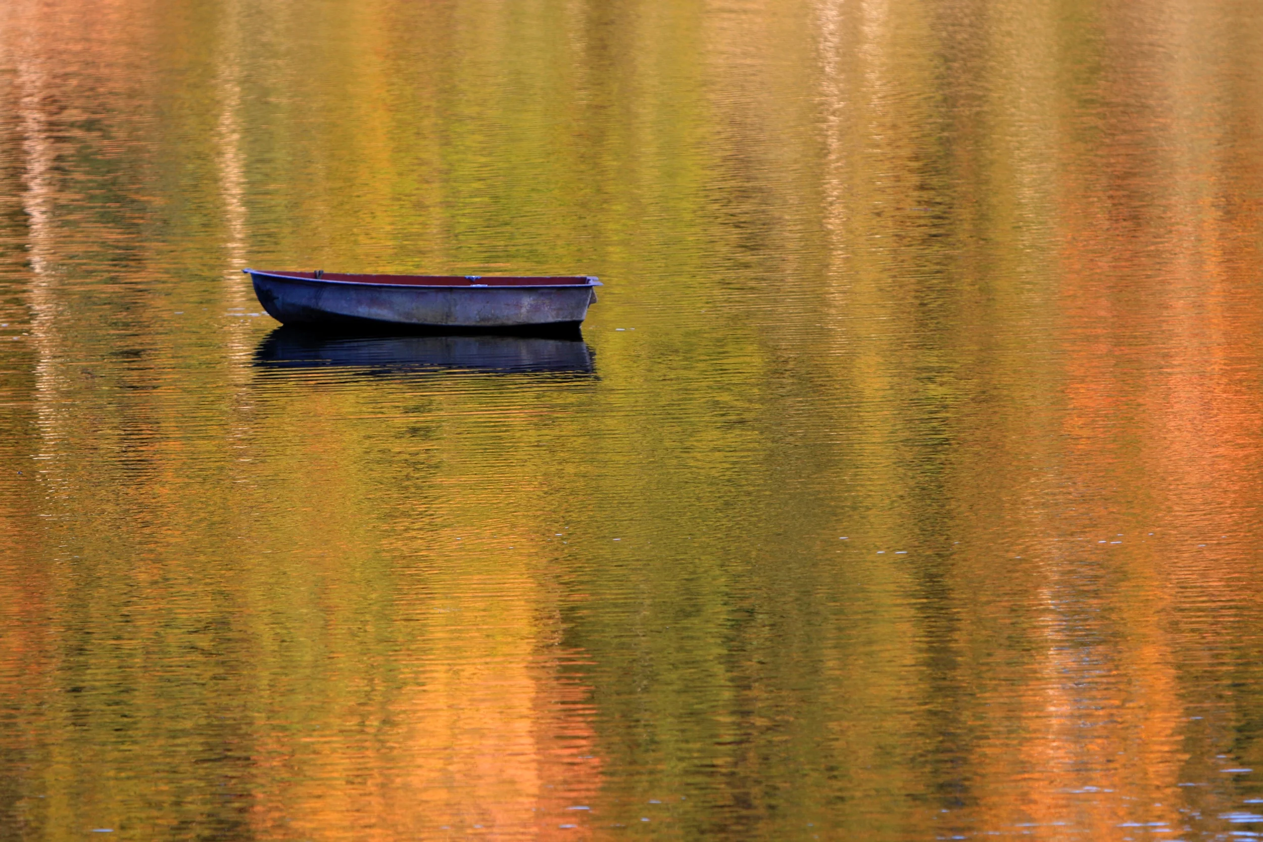 10-lobster cove, boothbay harbor:oct.jpeg