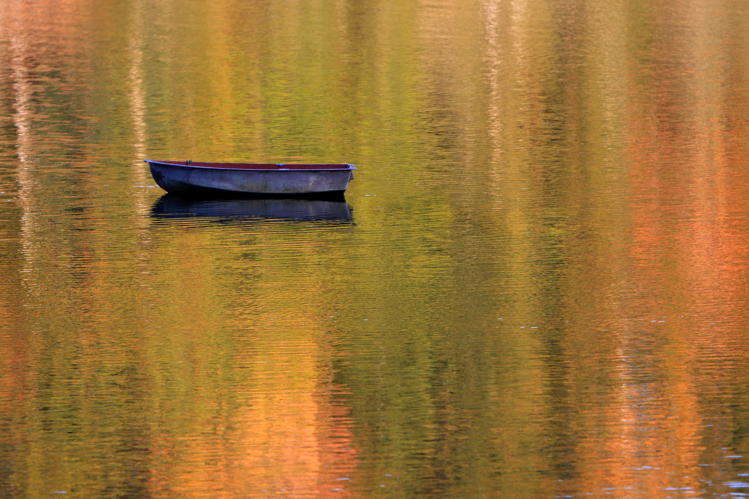 October: Lobster Cove, Boothbay Harbor