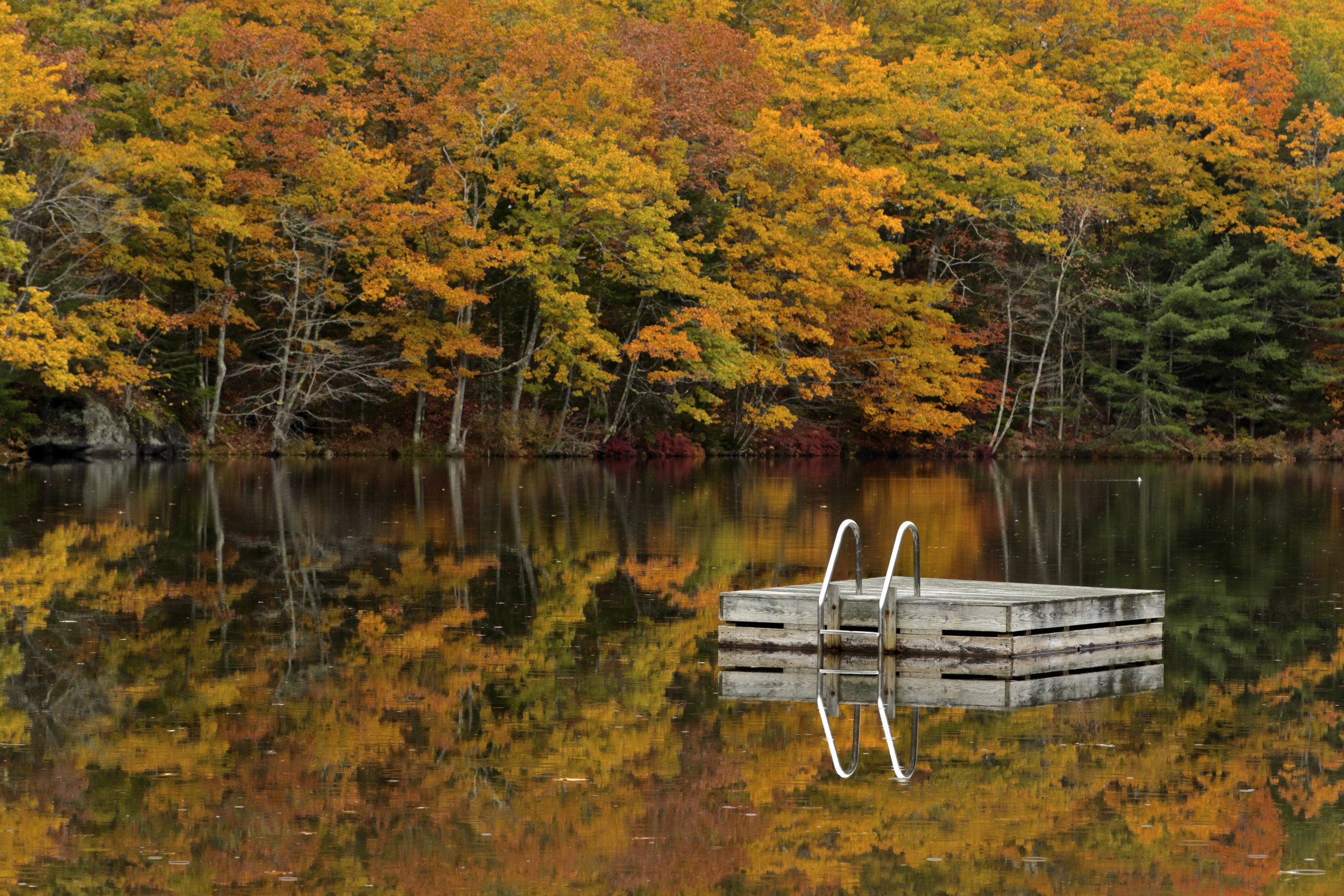 November: Knickerbocker Lake