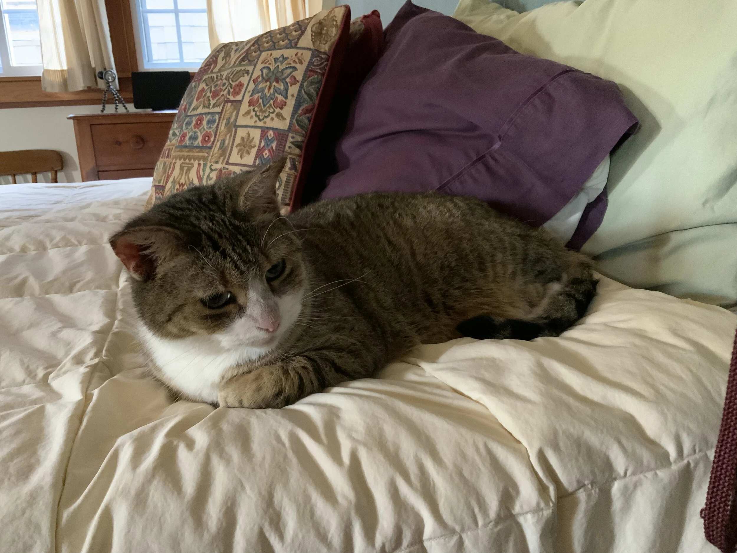 2022 Around Boothbay Harbor Calendar — Robert Mitchell Photography