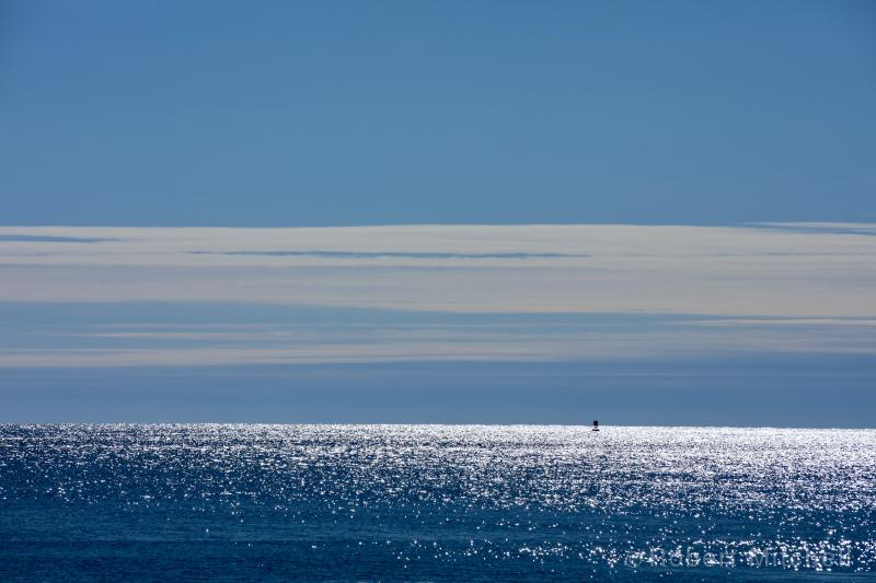 "Sunshine" by Robert Mitchell Photography