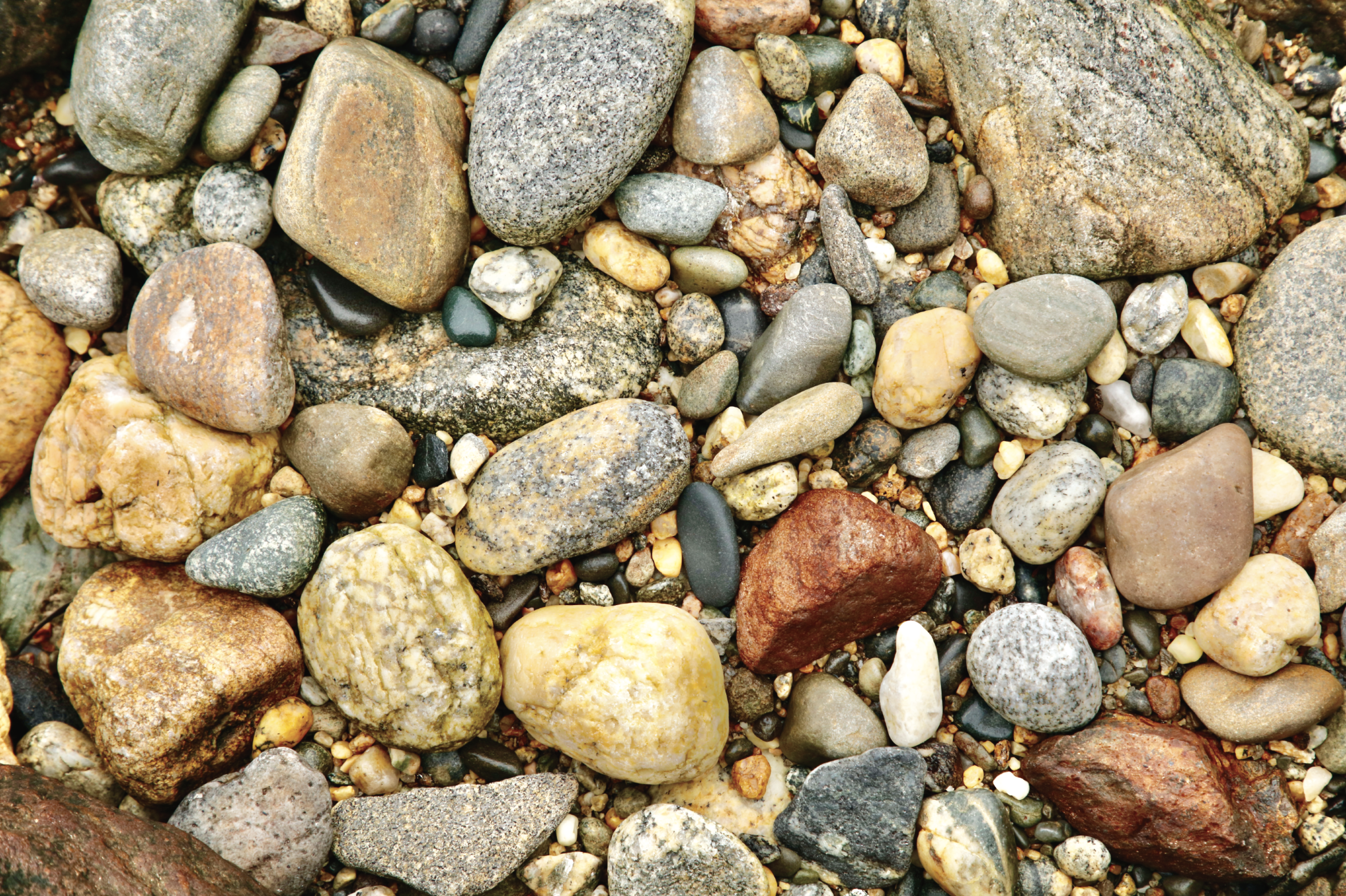 May | Shore Pebbles
