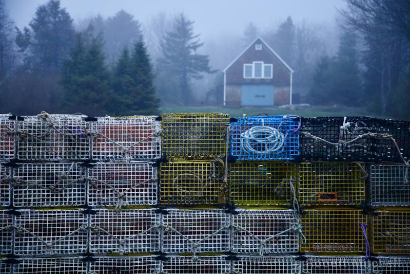 Fog