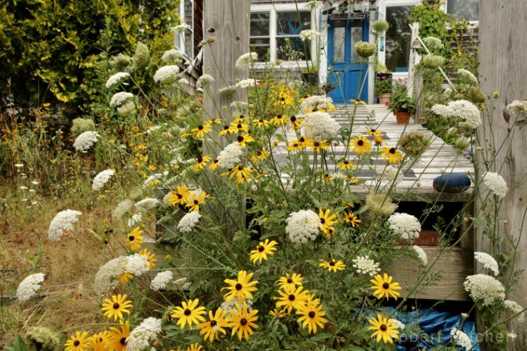 "Garden" by Robert Mitchell