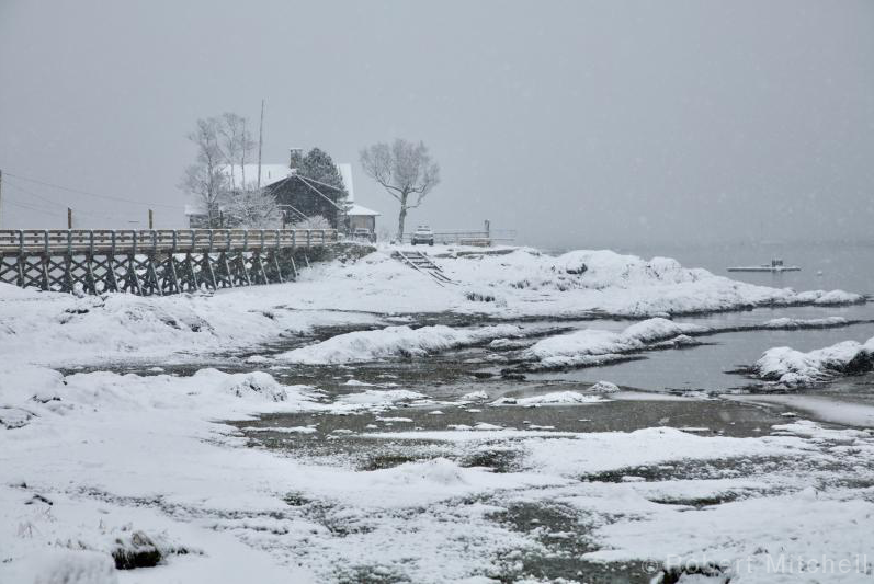 "Treasure Island" by Robert Mitchell