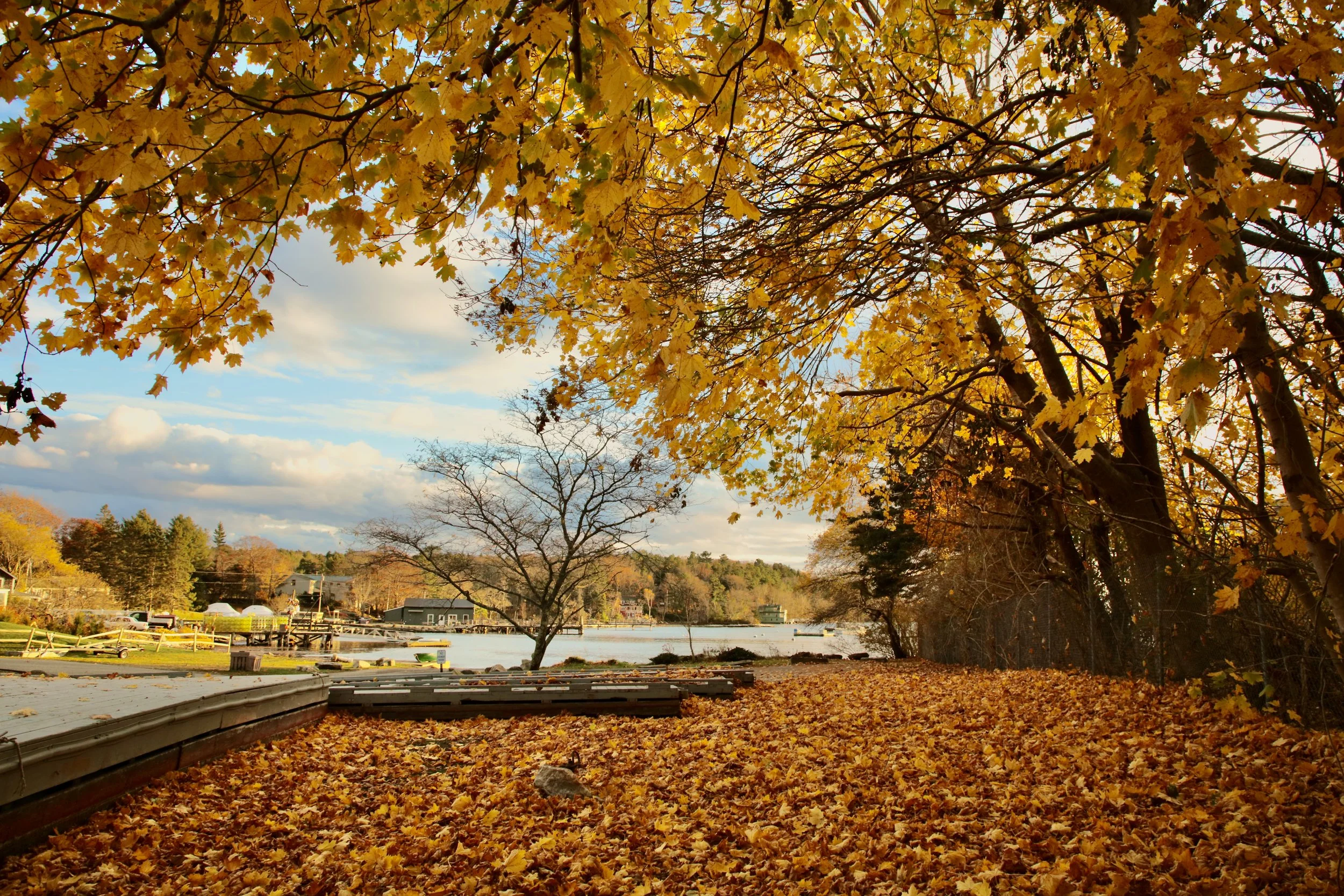 November: Murray Hill boat launch, East Boothbay