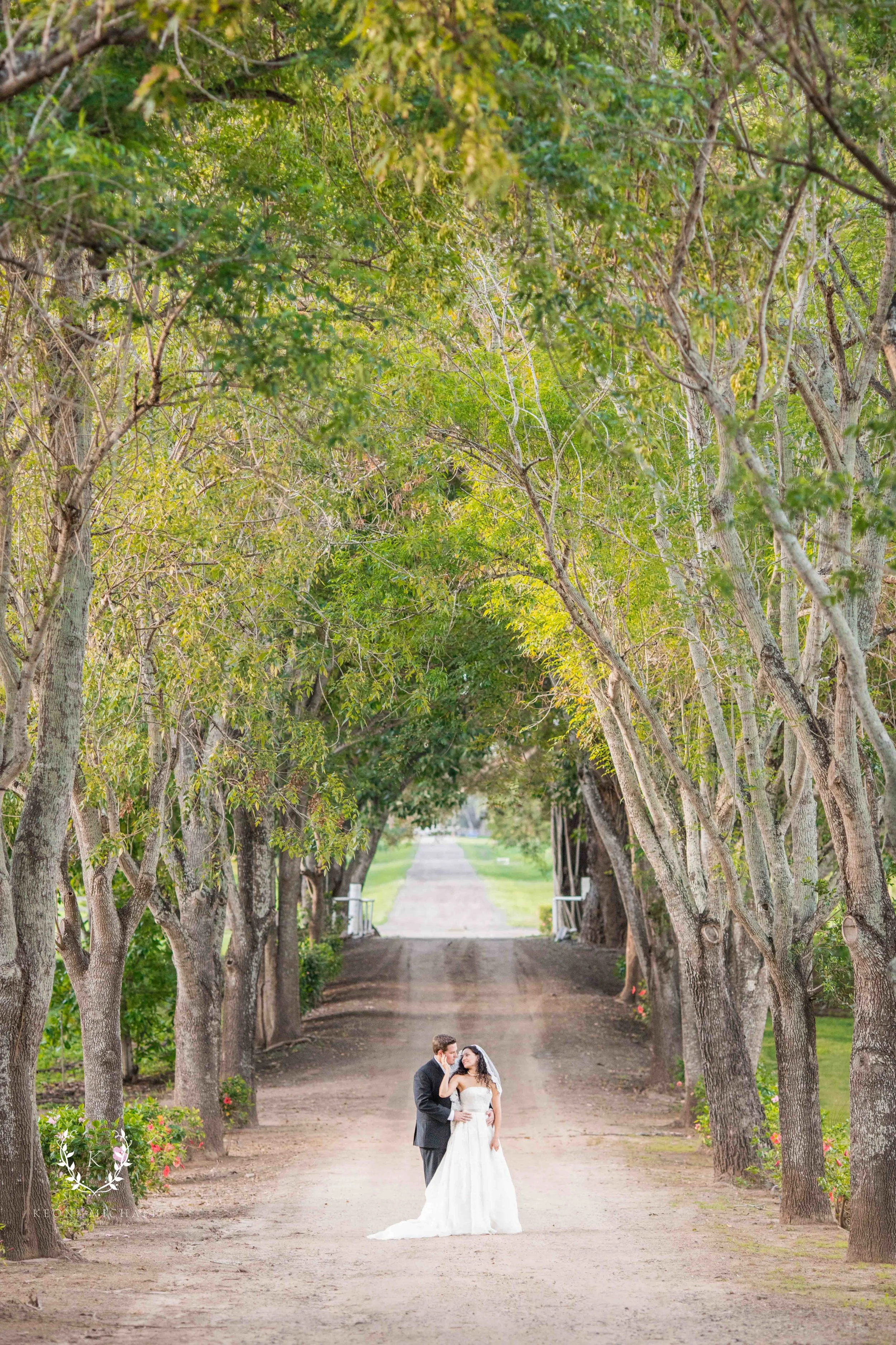 Hawaii Wedding Photography