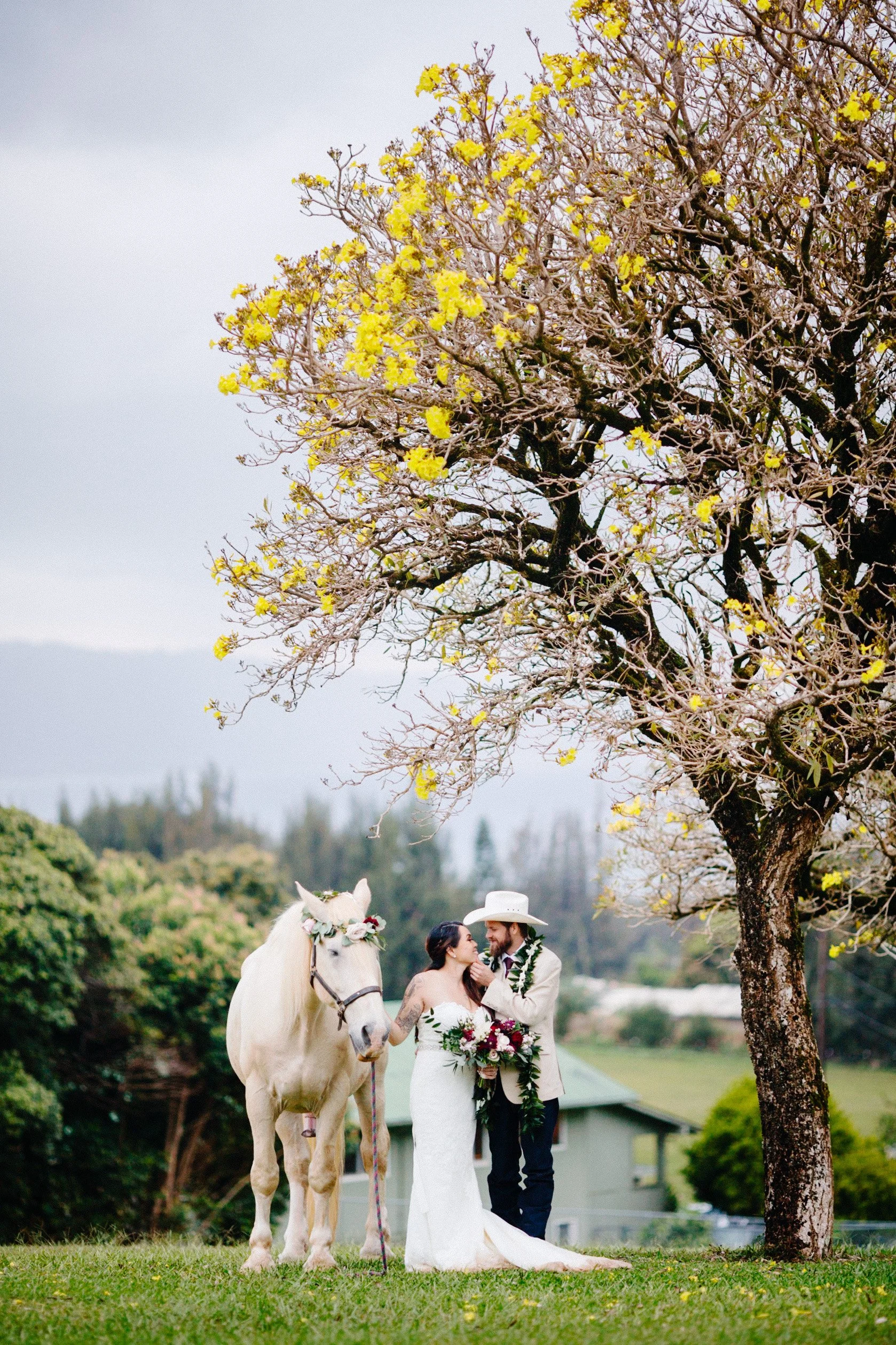 Best-Hawaii-Wedding-Photographer-208.jpg