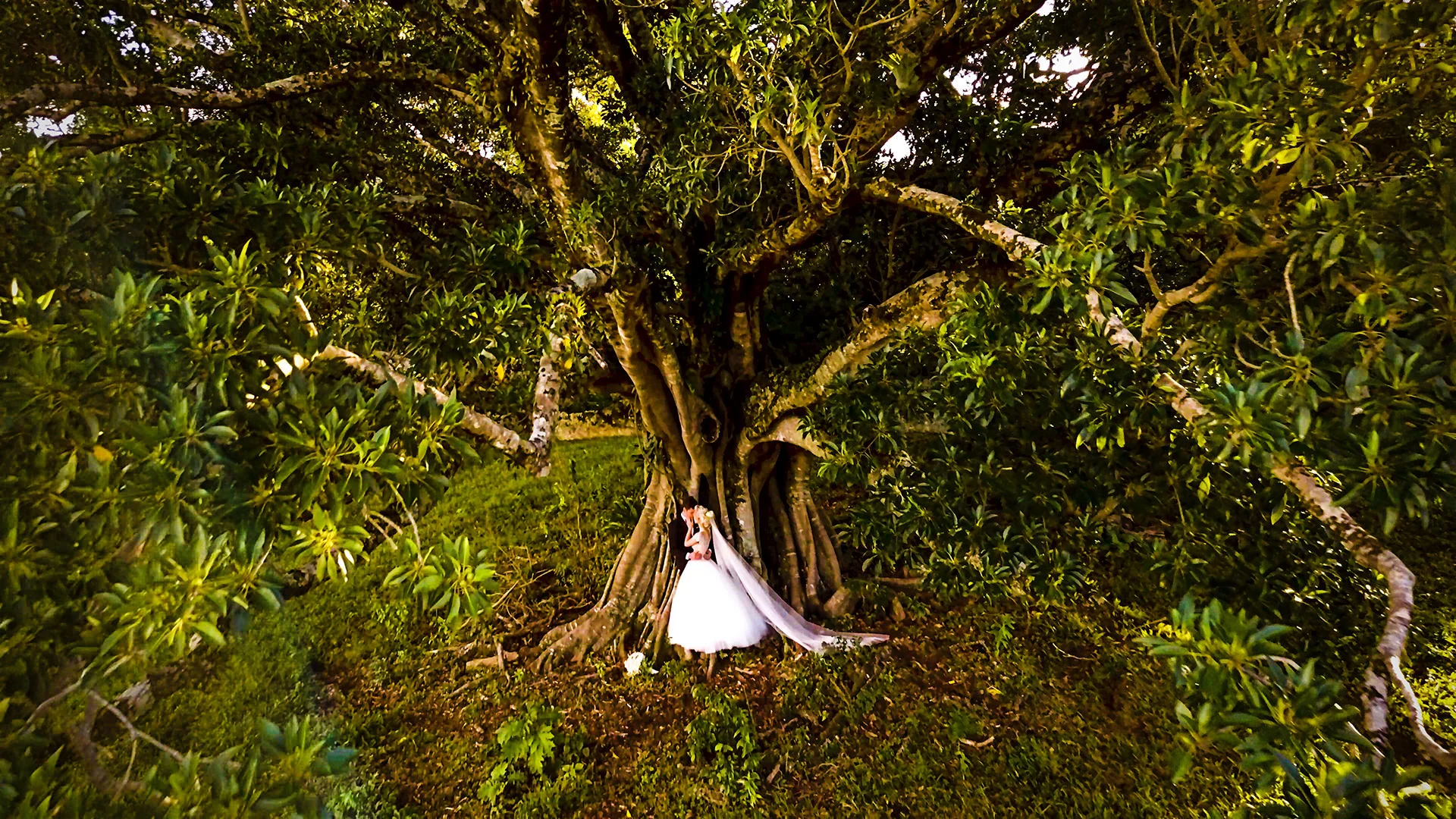 Fairytale Wedding Video at Wedding's at Tiffany’s  - Jesse & Holly 