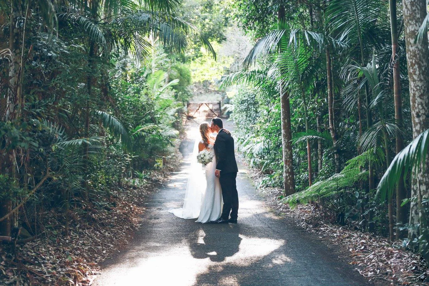 Mt Tamborine Pethers Rainforest Retreat Wedding Videography - Trent & Donay