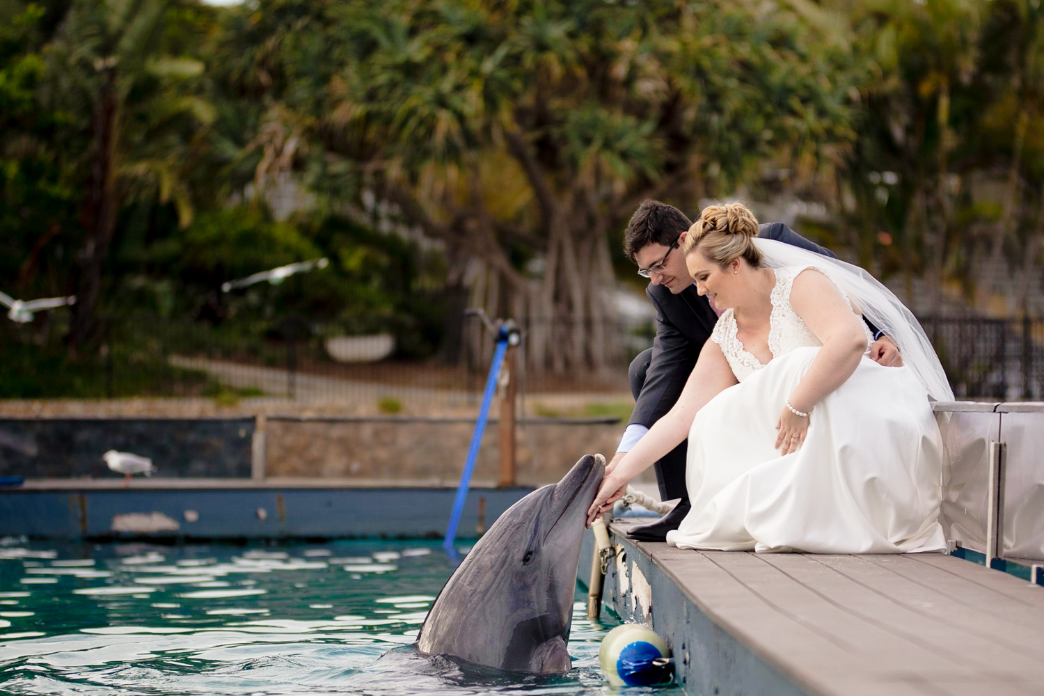 SeaWorld Resort Gold Coast Wedding Photography