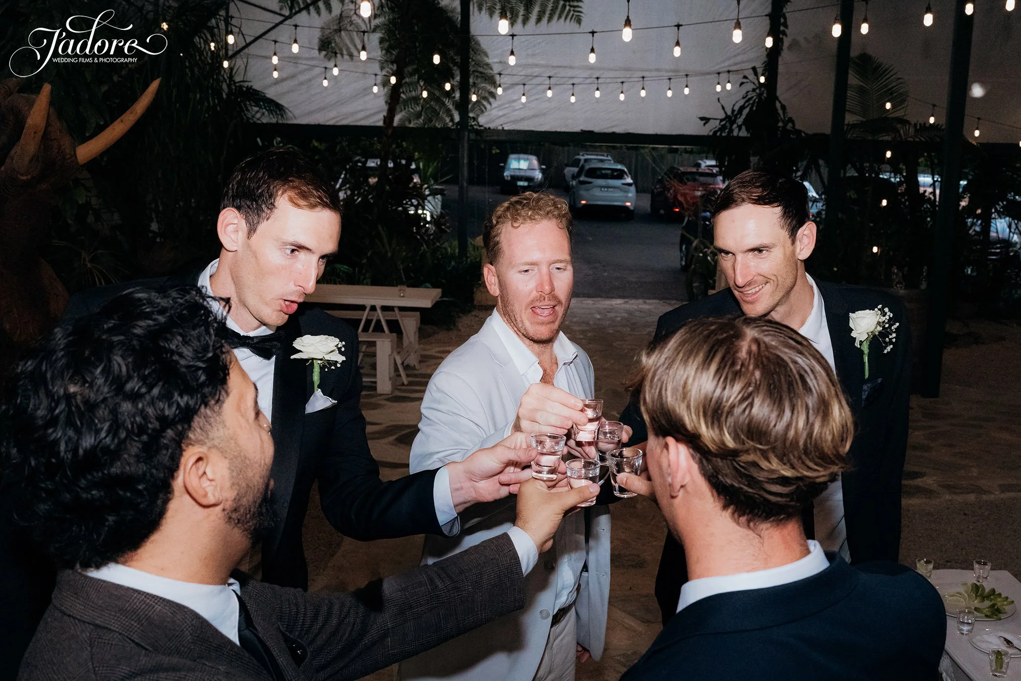 DSC00528 WEB LOGO.jpg