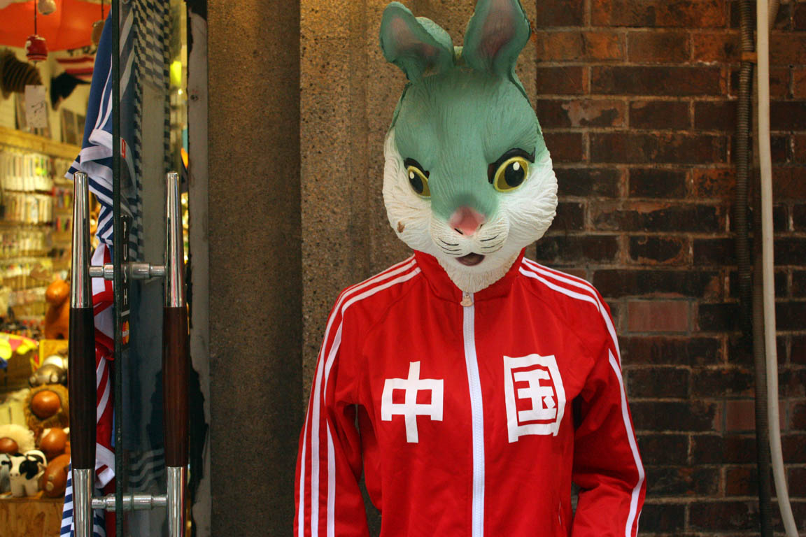 Rubber-Bunny-China.jpg