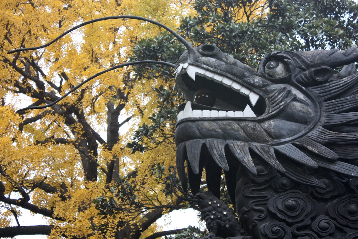 Dragon, Shanghai, China / Photo credit: Susannah Breslin