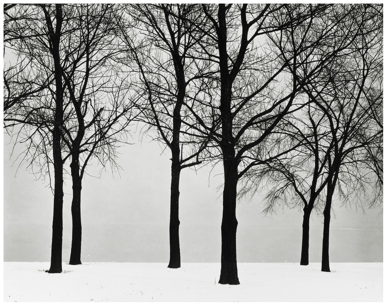 Photo credit: Harry Callahan (via This Isn't Happiness )
