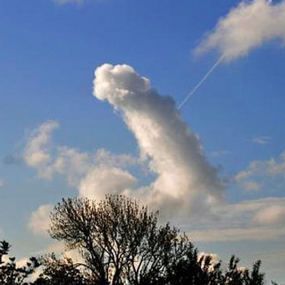 sky-dick.png