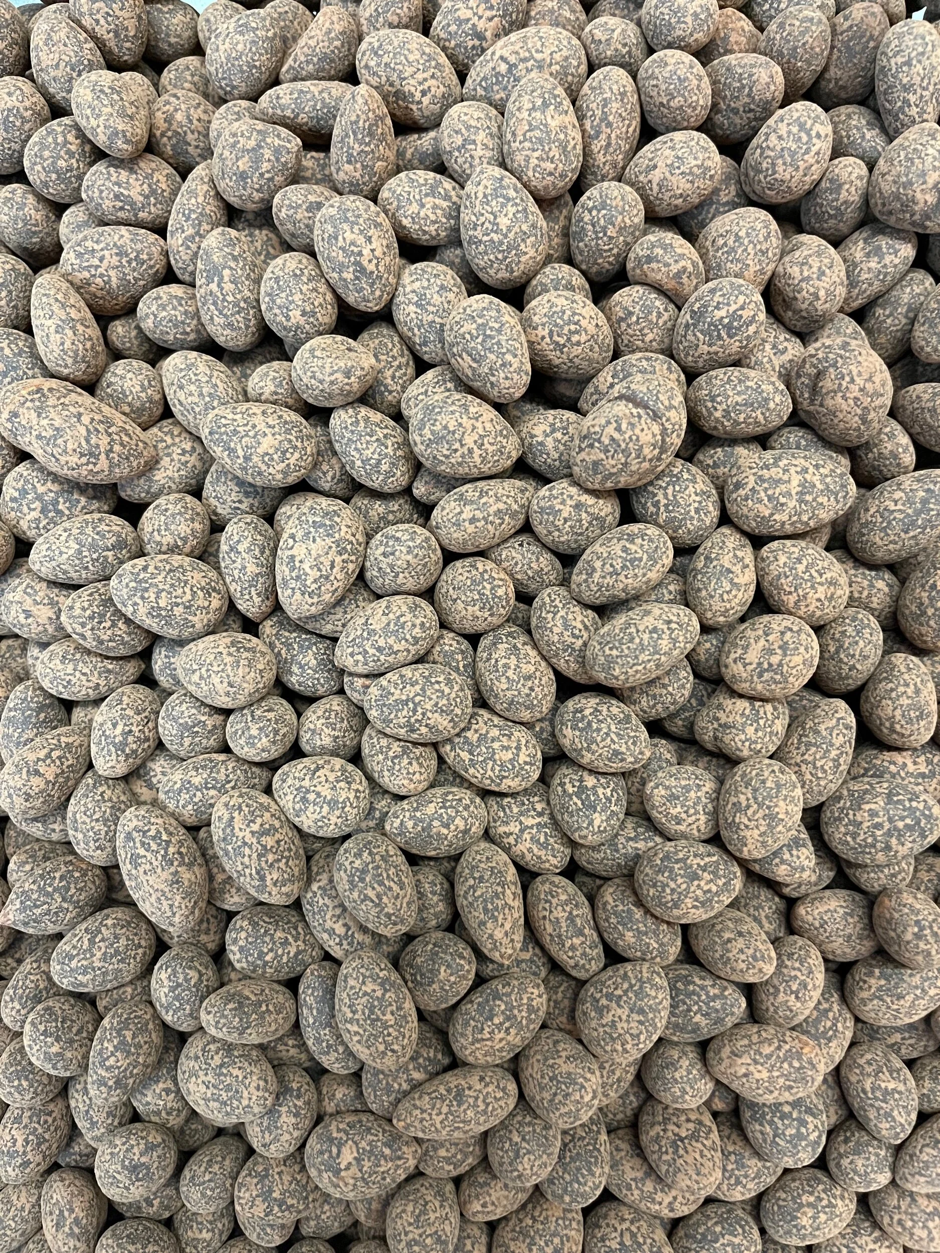 588B2E42-1B01-4F69-BBF1-ABA6DC427988