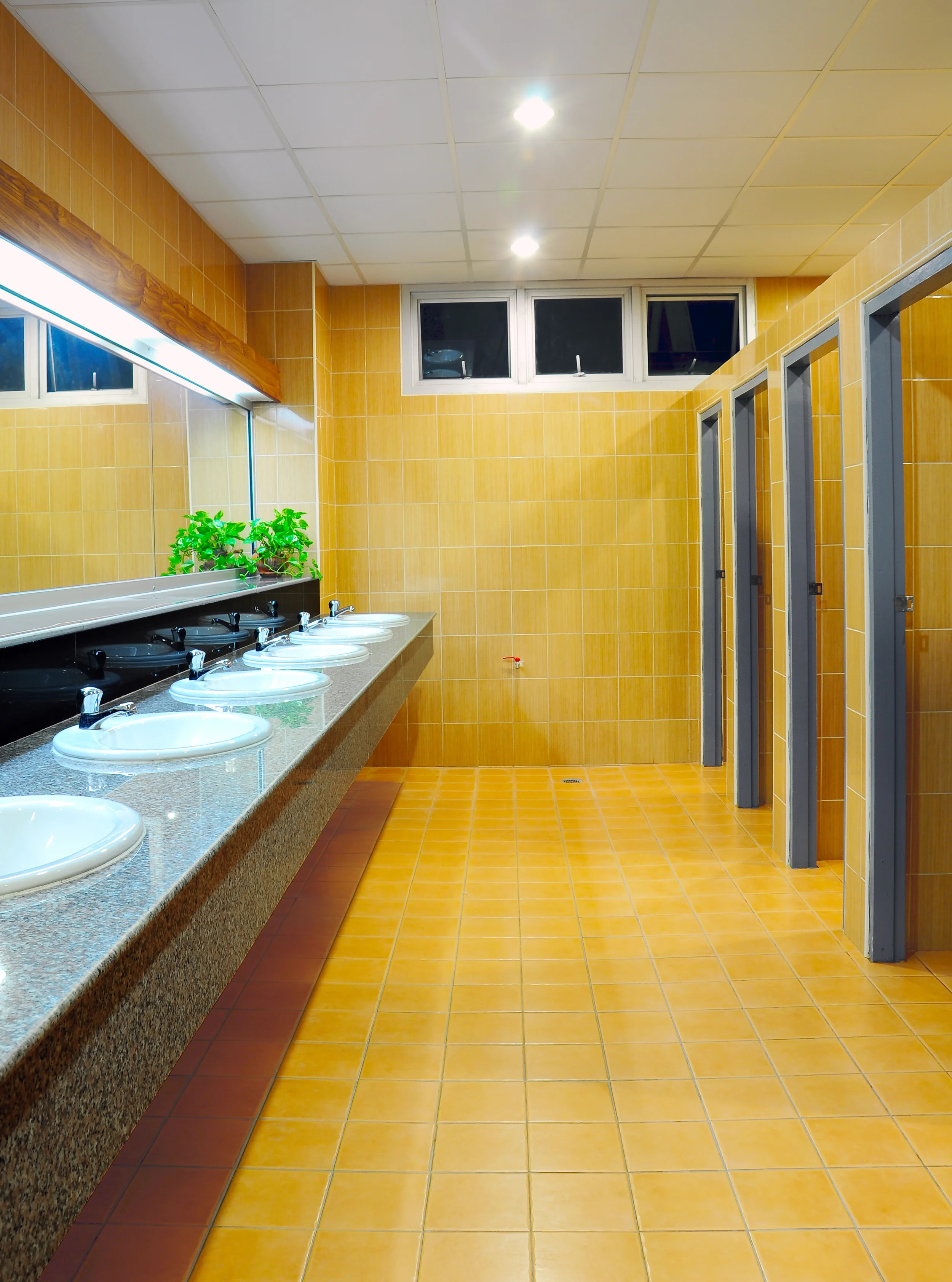 Janitorial Services