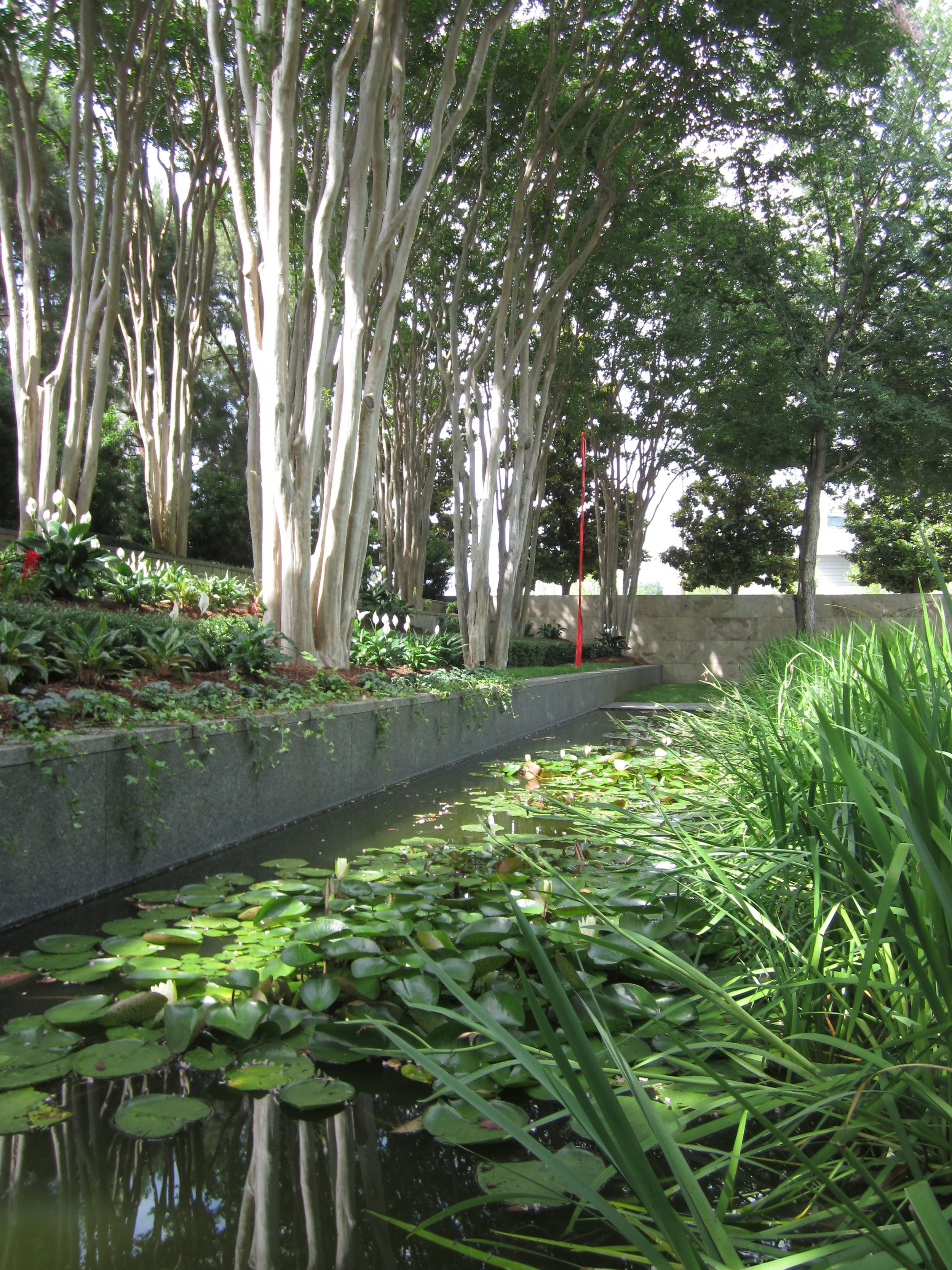 Dallas sculpture museum.jpg
