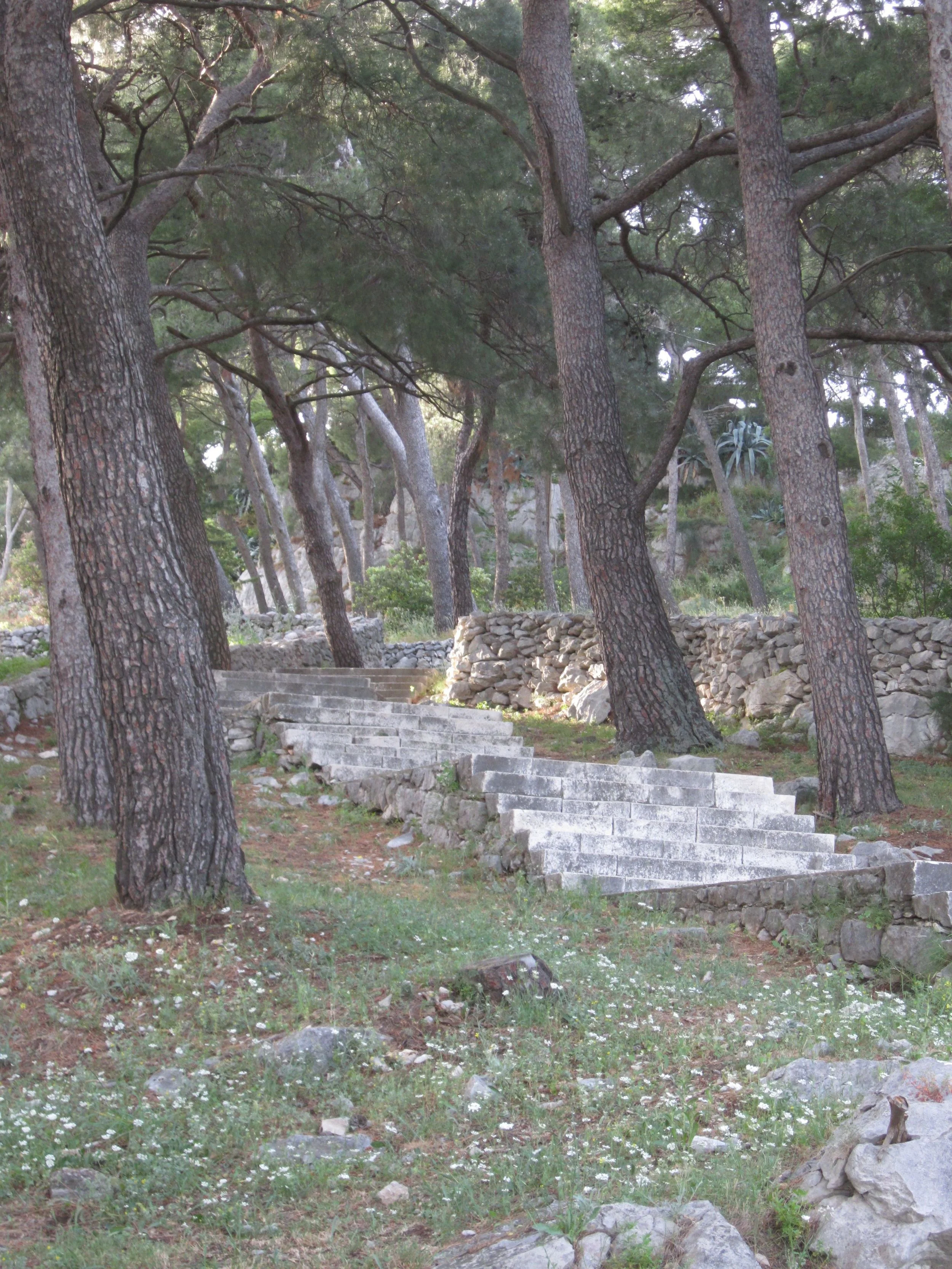 Dappled light in the woods.jpg