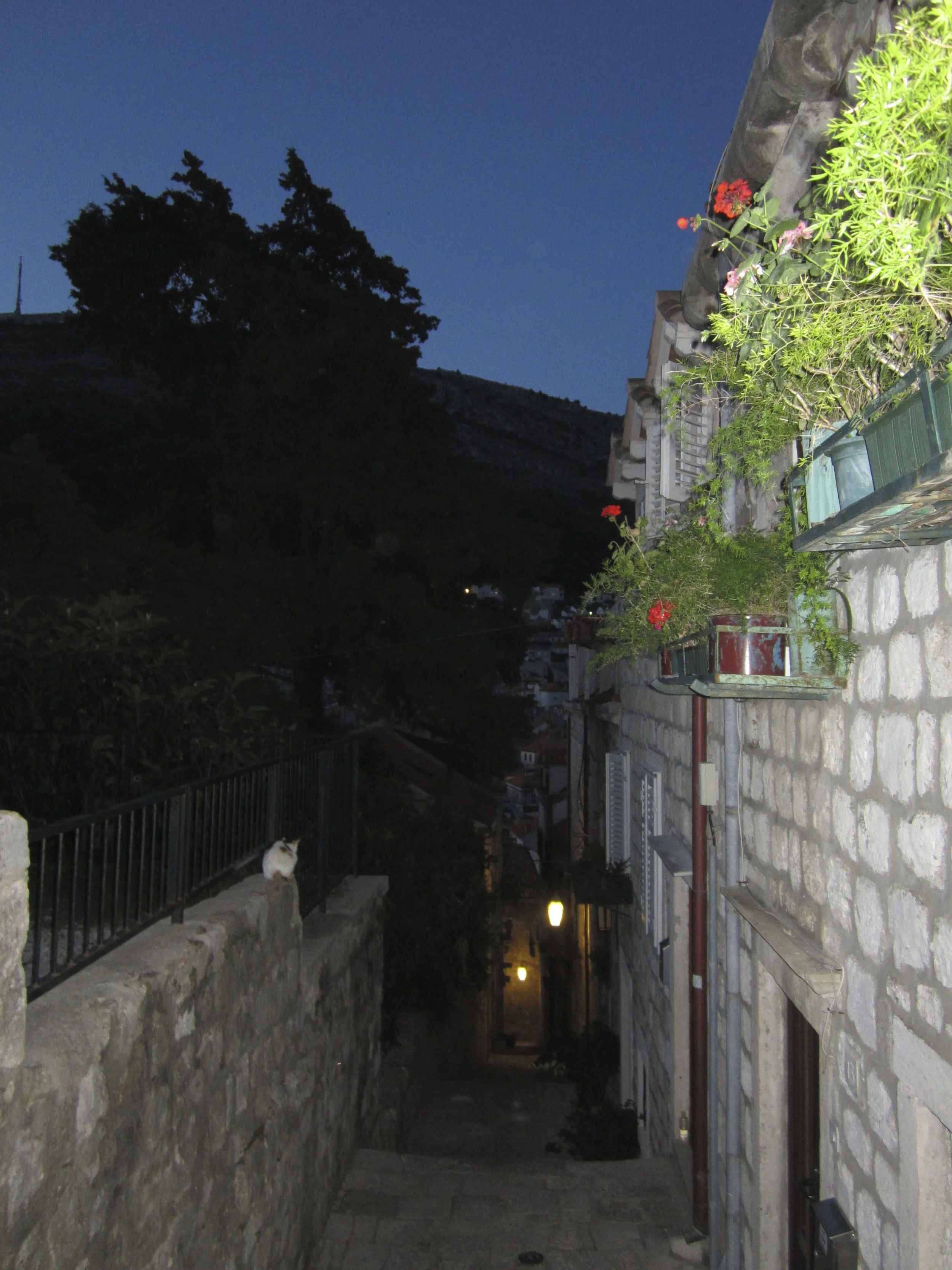 Dobrovnik window boxes.jpg