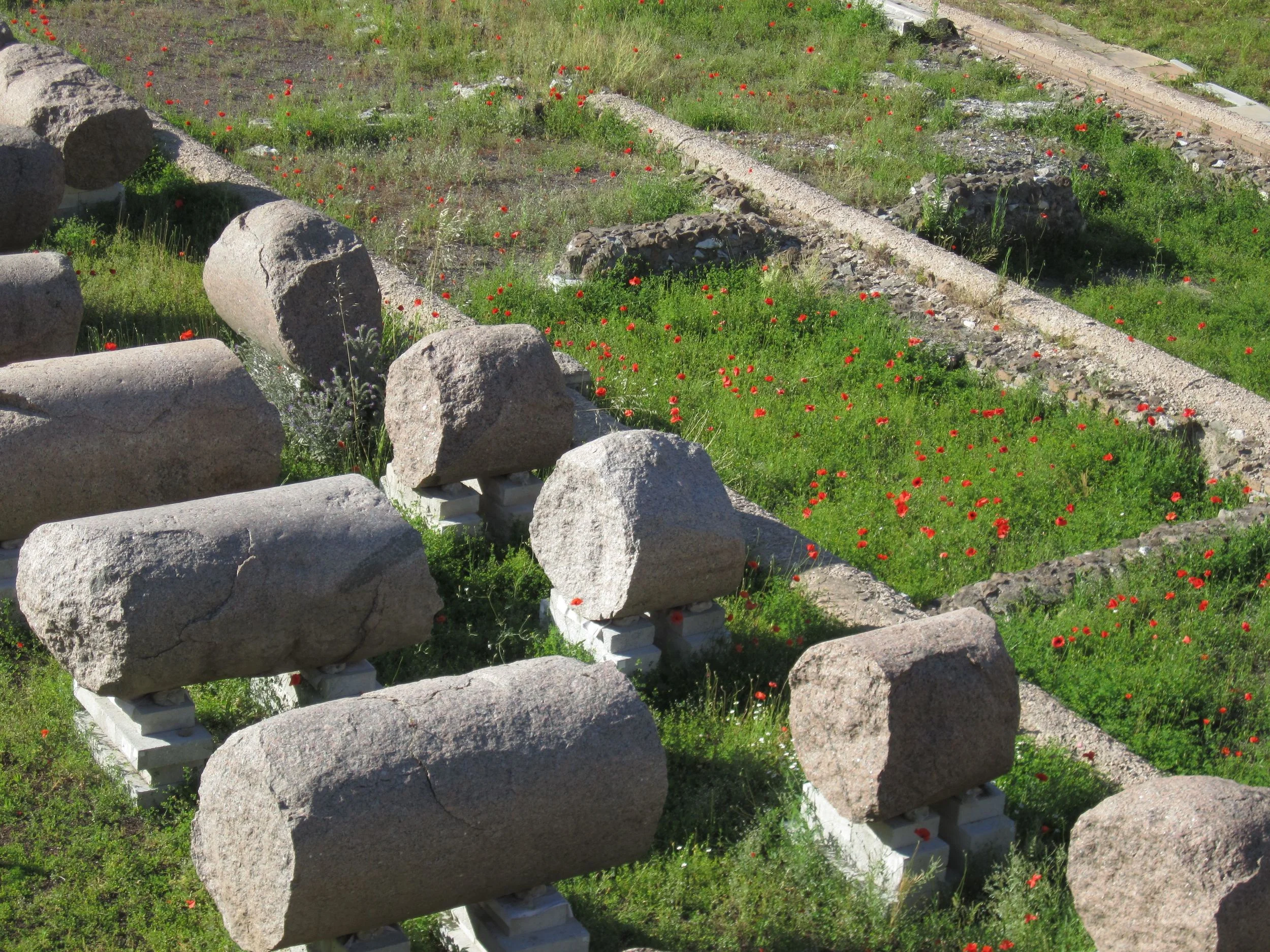 Poppies and ruins.jpg