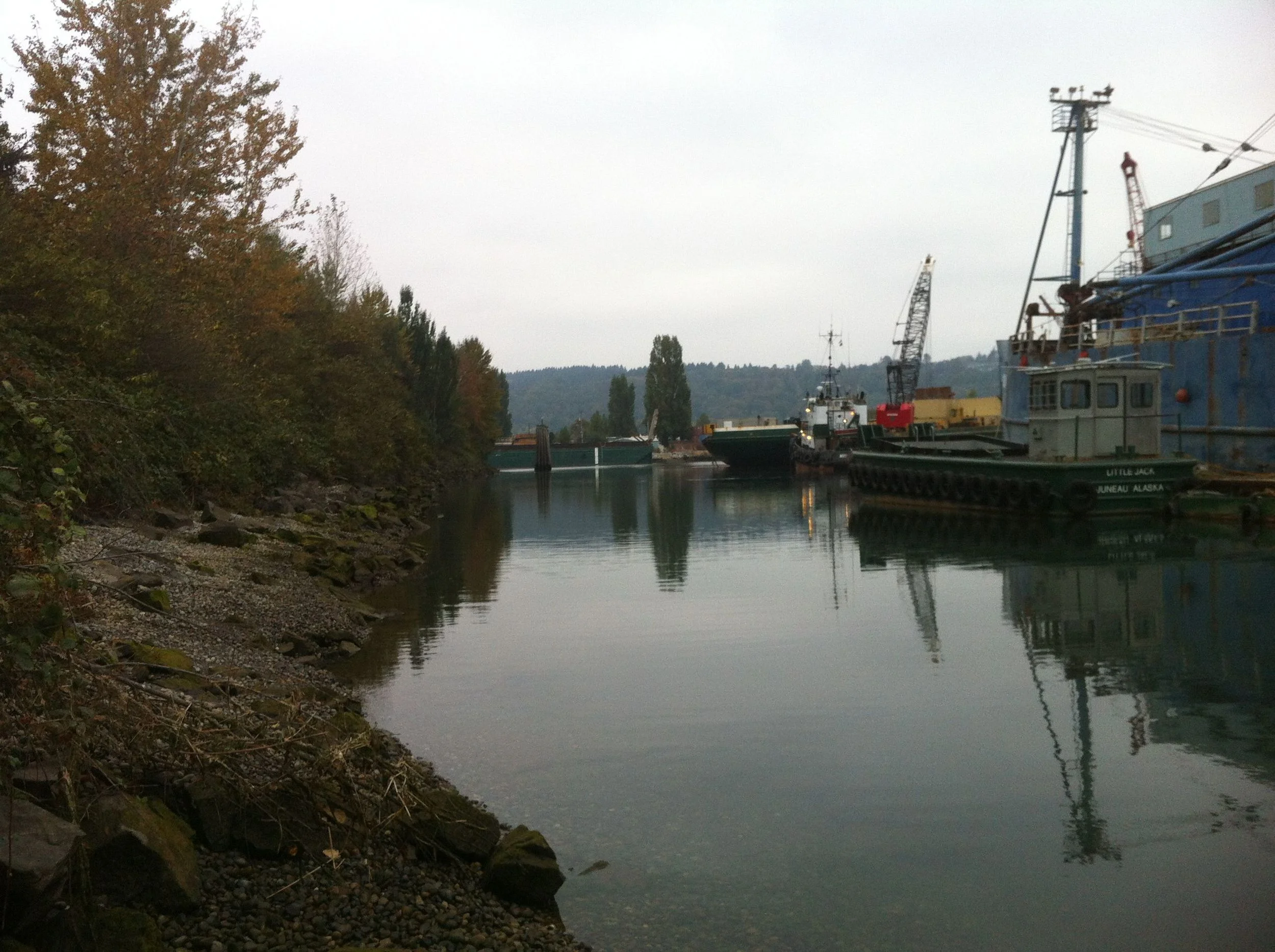 Seattle_industrial_nature.jpg
