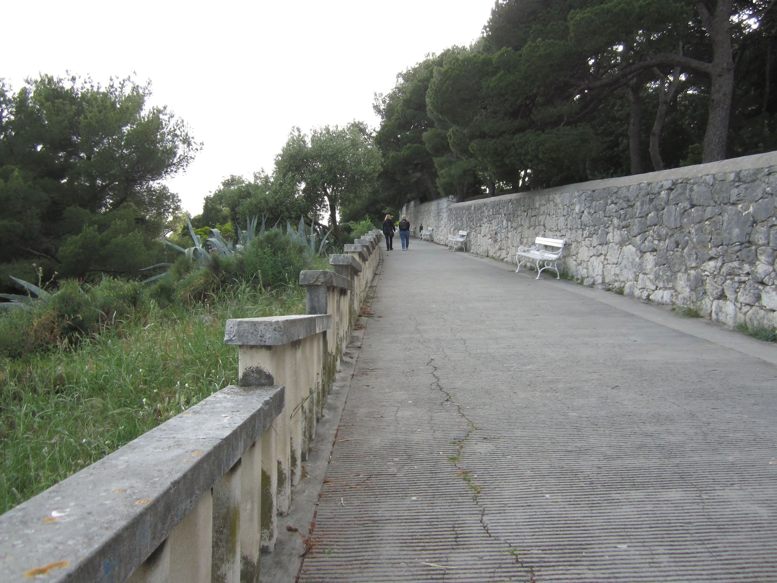 Split_paved hill to park.jpg