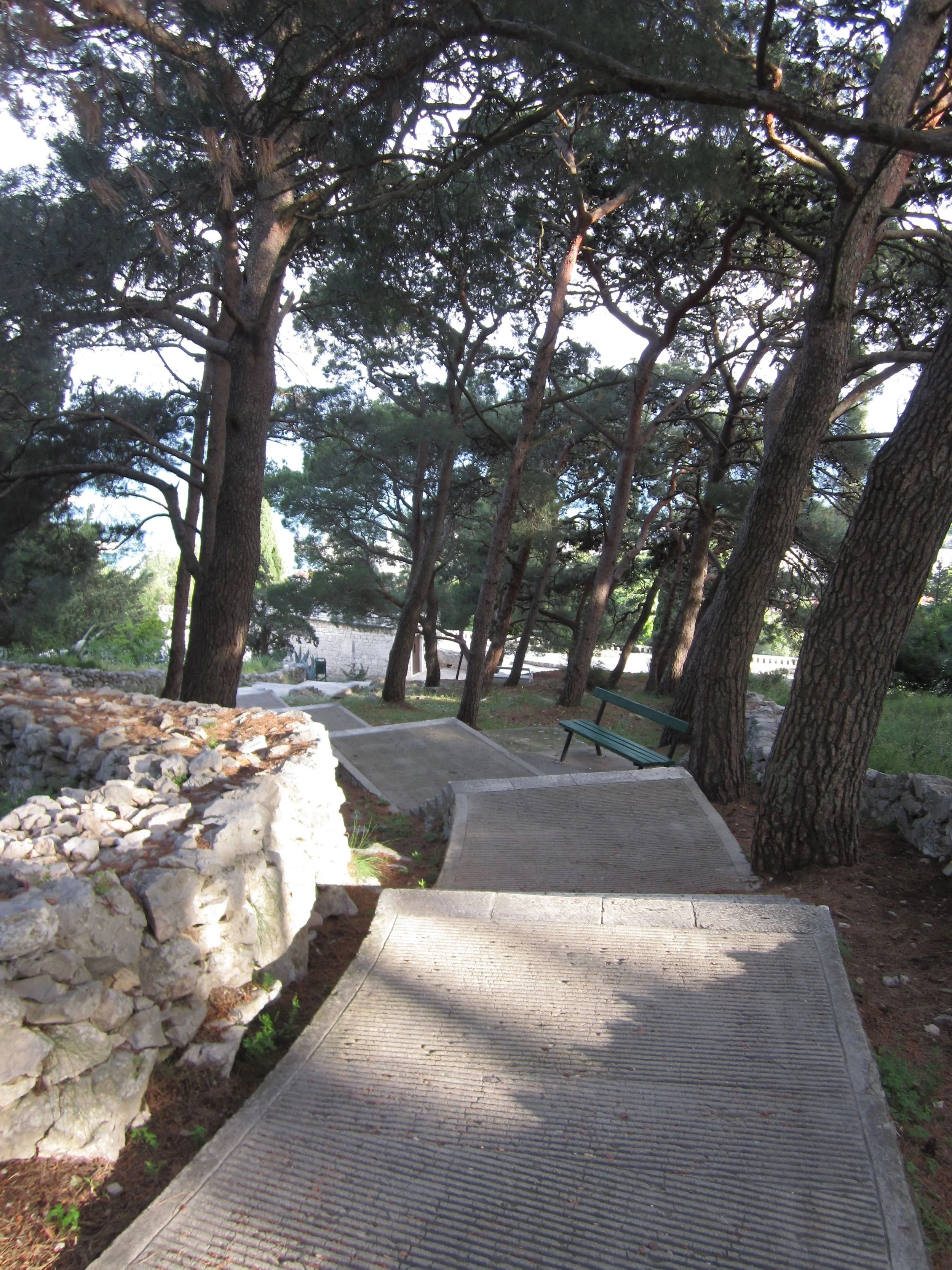 Stairs in the woods.jpg