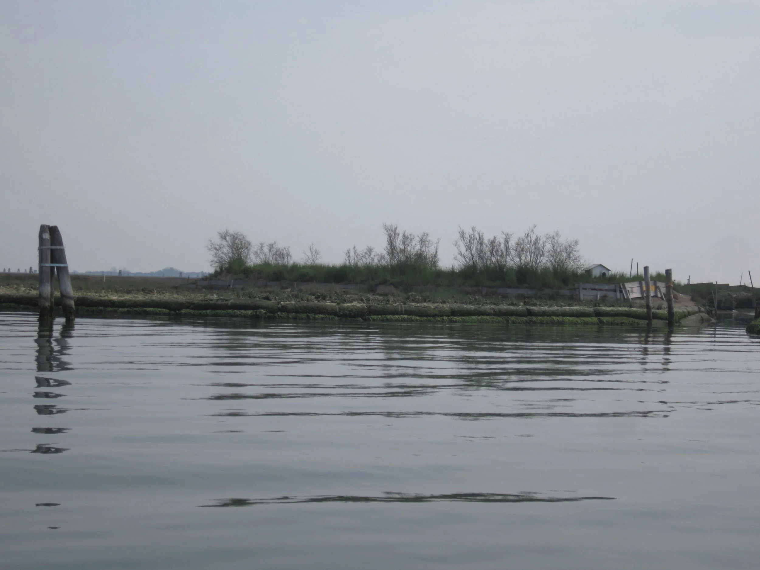venice barena.jpg