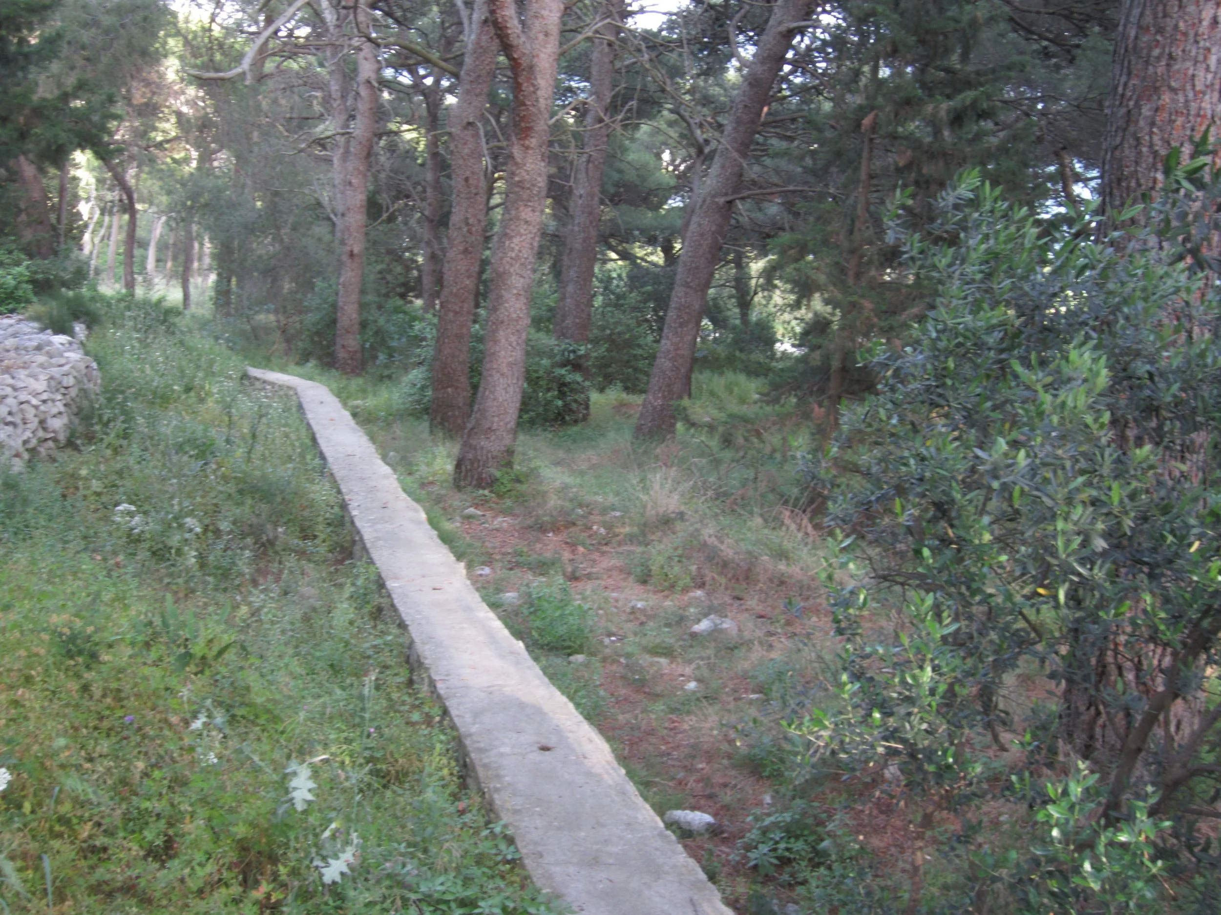 Wall through the woods_Split.jpg