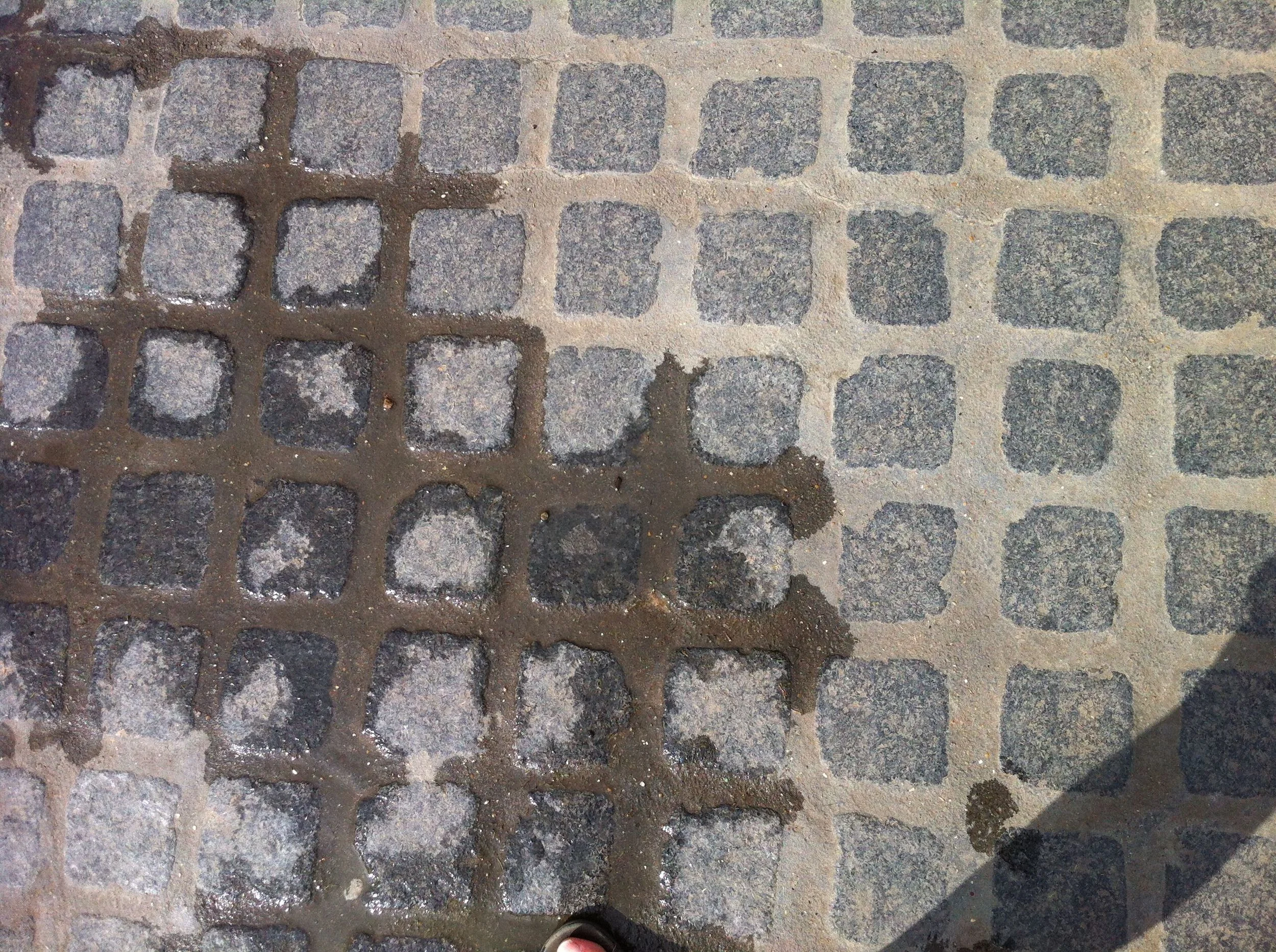 wet sidewalk.jpg