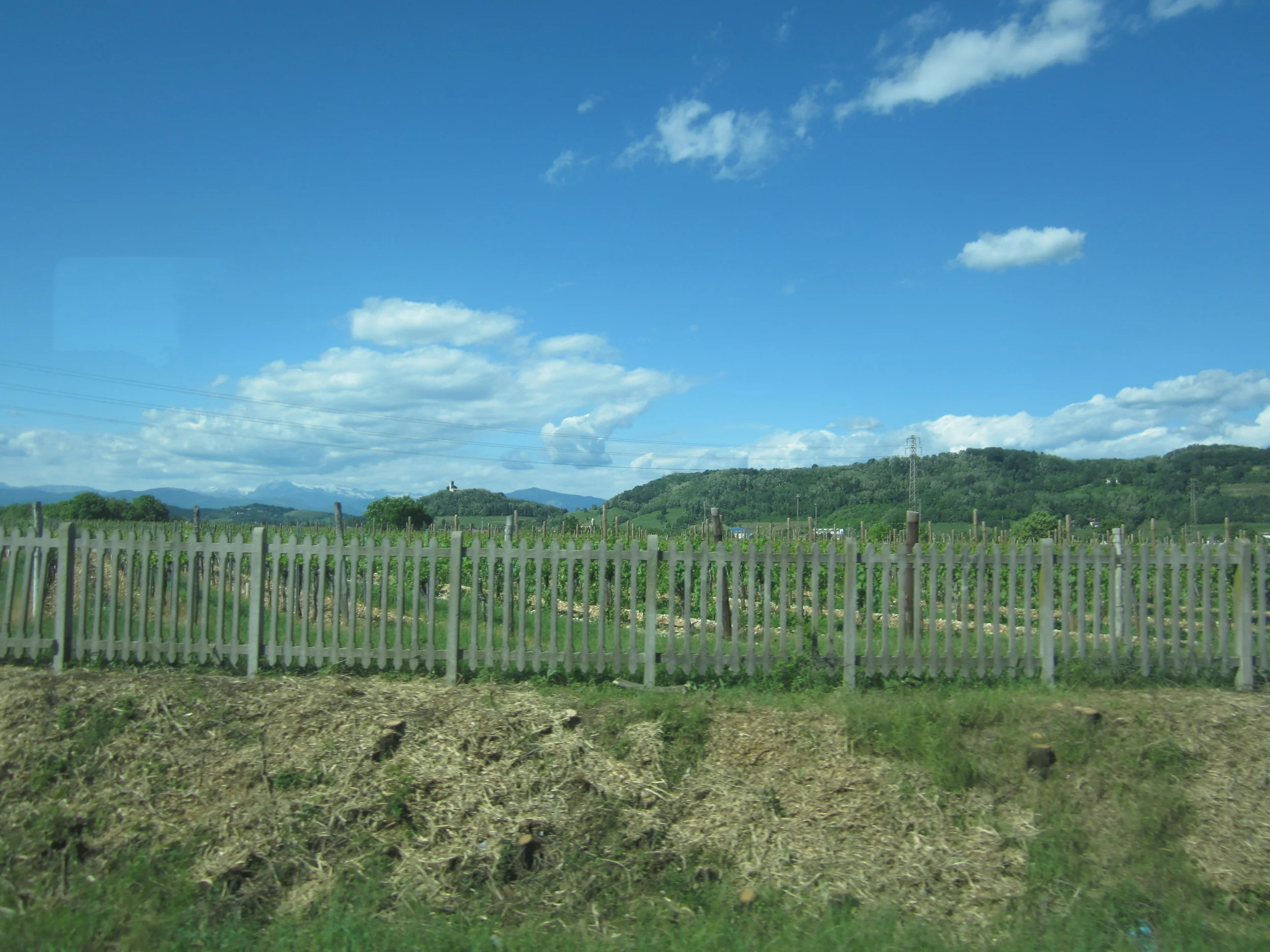 IMG_0600.JPG