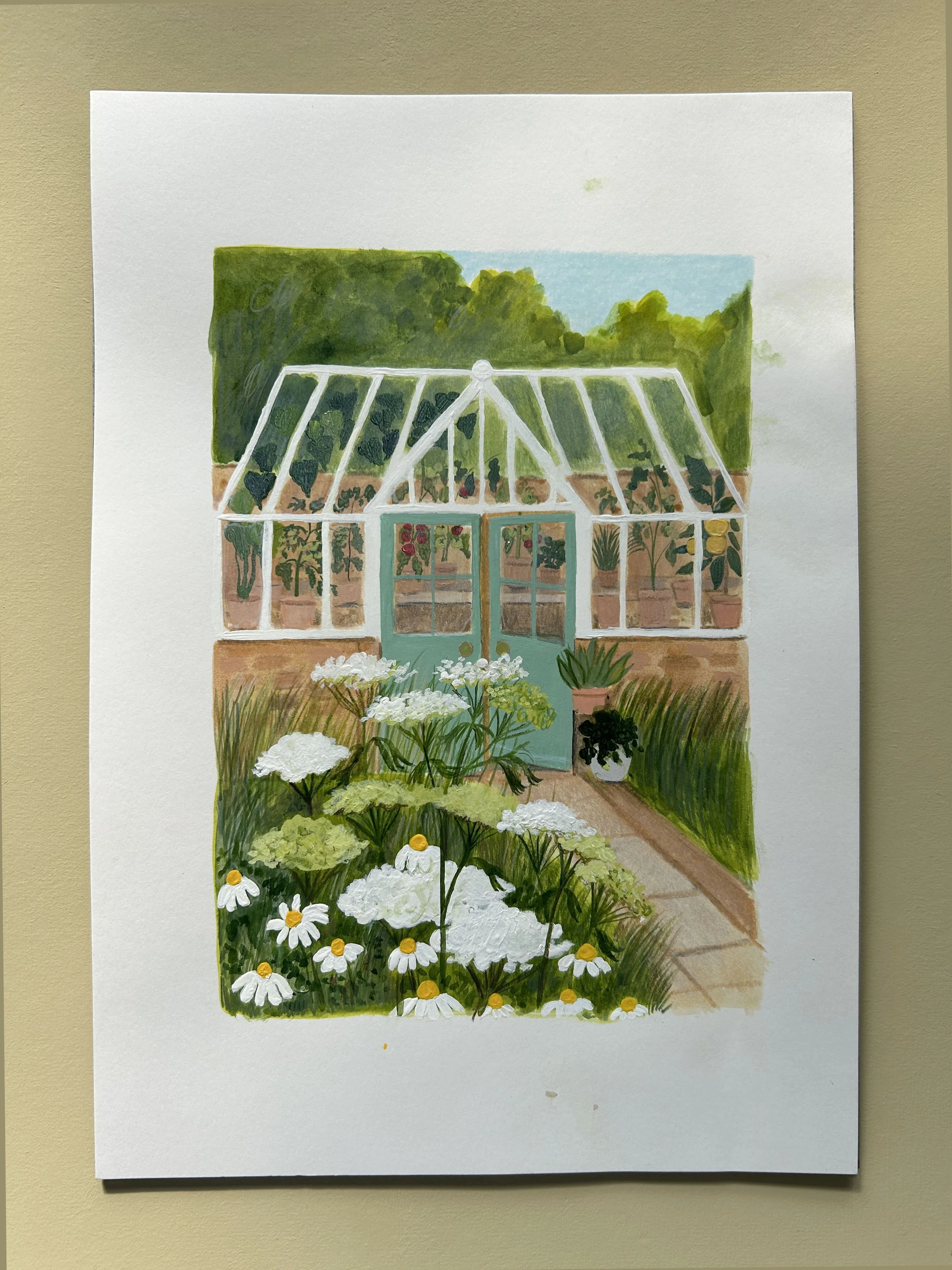 Growing Tomatoes 2026.jpg