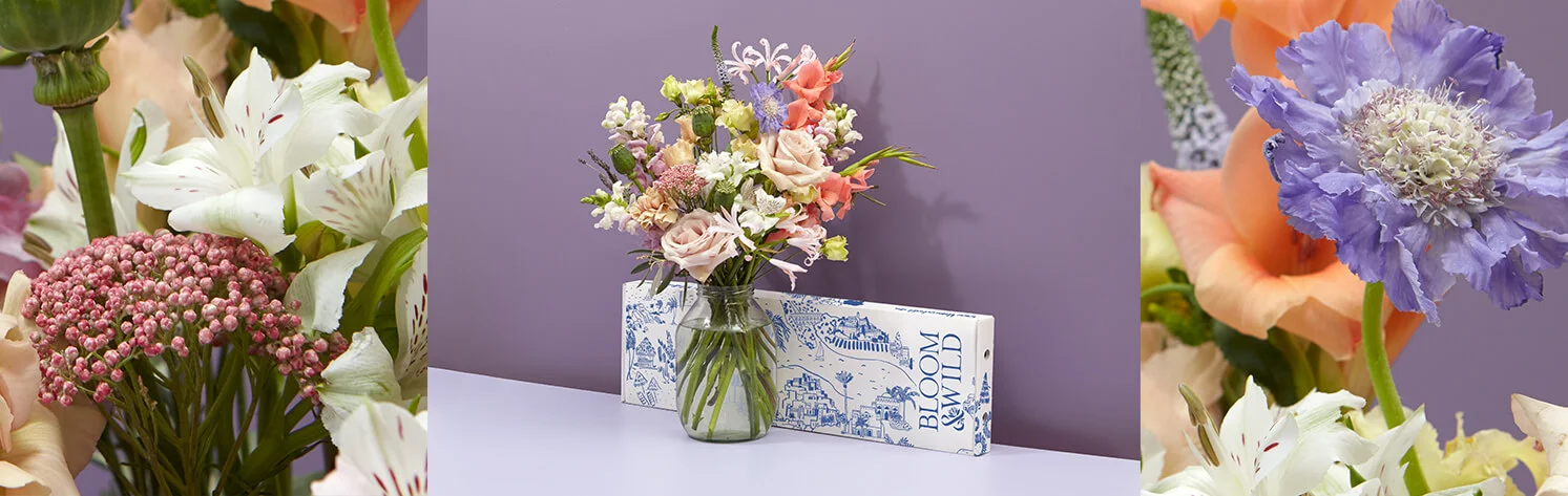 Packaging Design for Bloom & Wild Photograph by Bloom & Wild