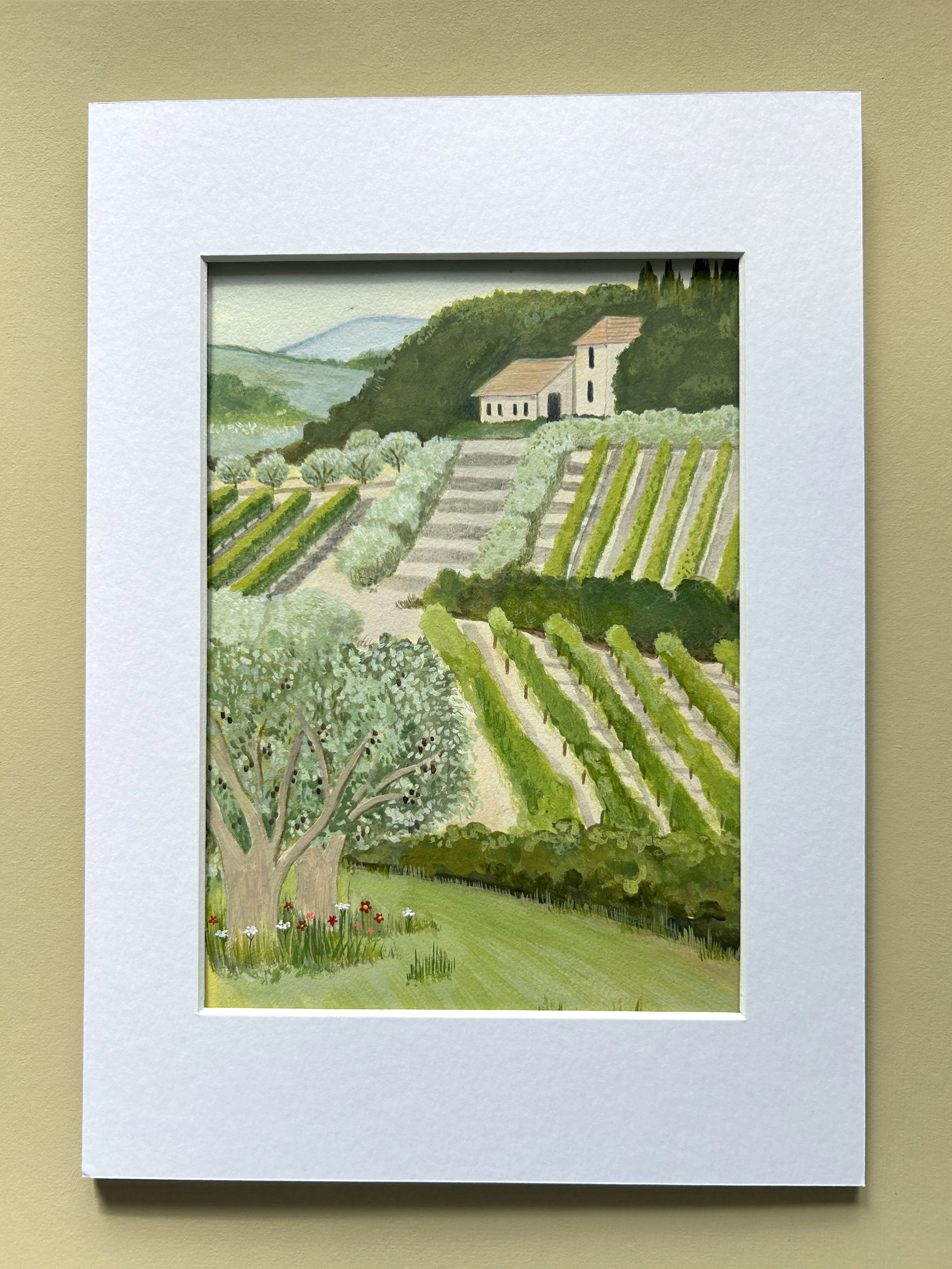 Vineyard with mount.jpg