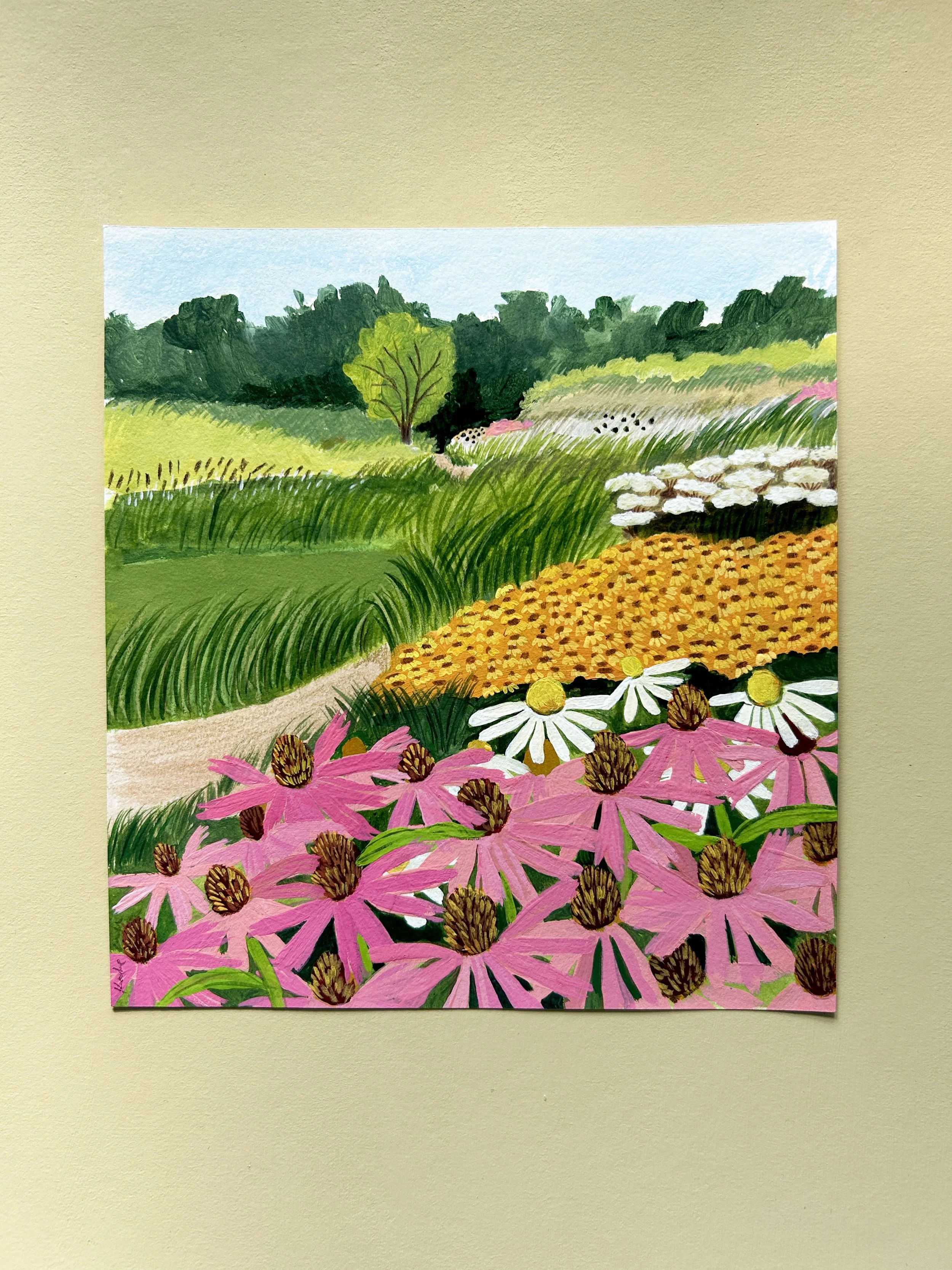 Echinacea Painting.jpg