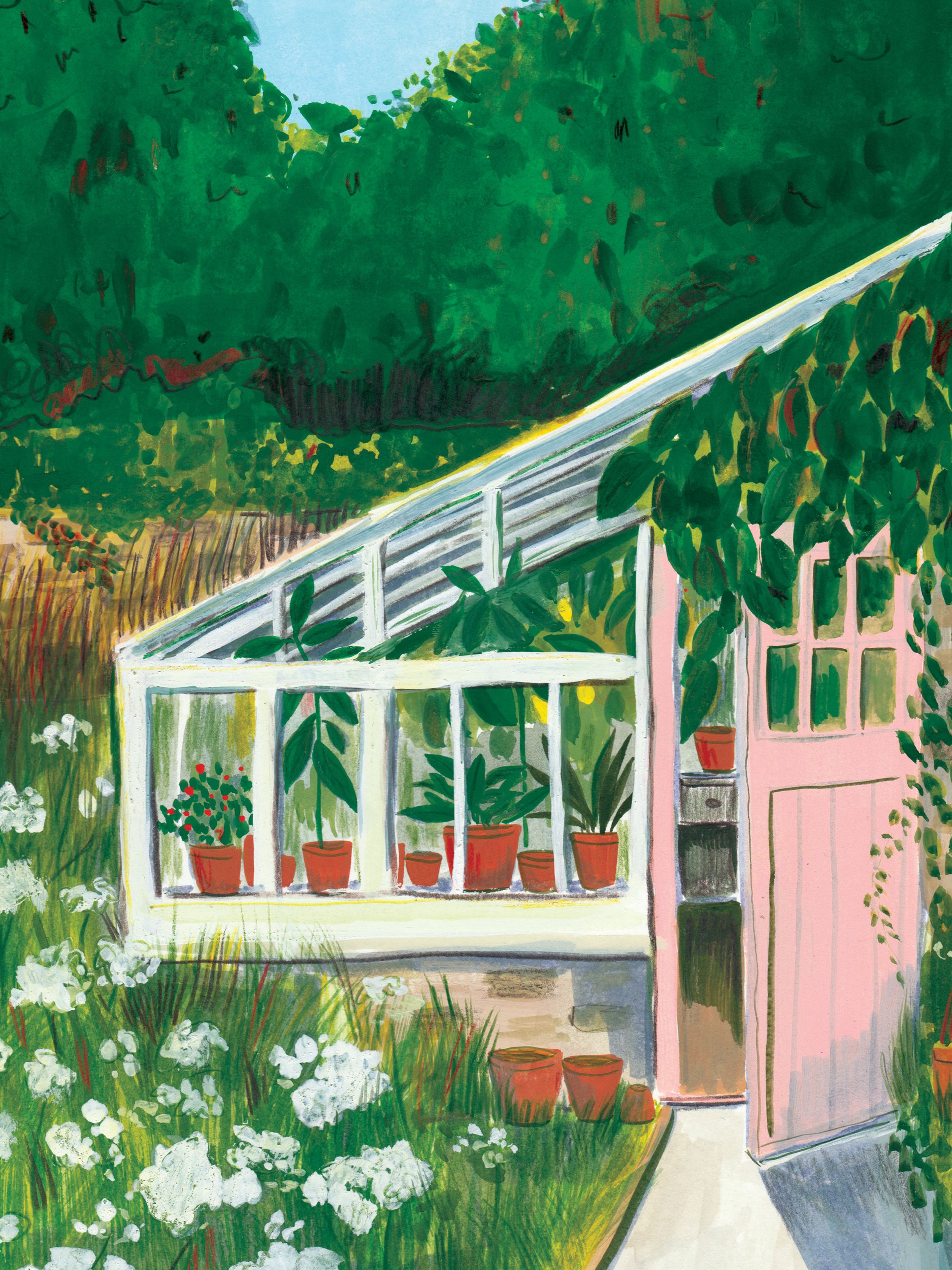 Kate_Cronk_Greenhouse_Cow_Parsley.jpg